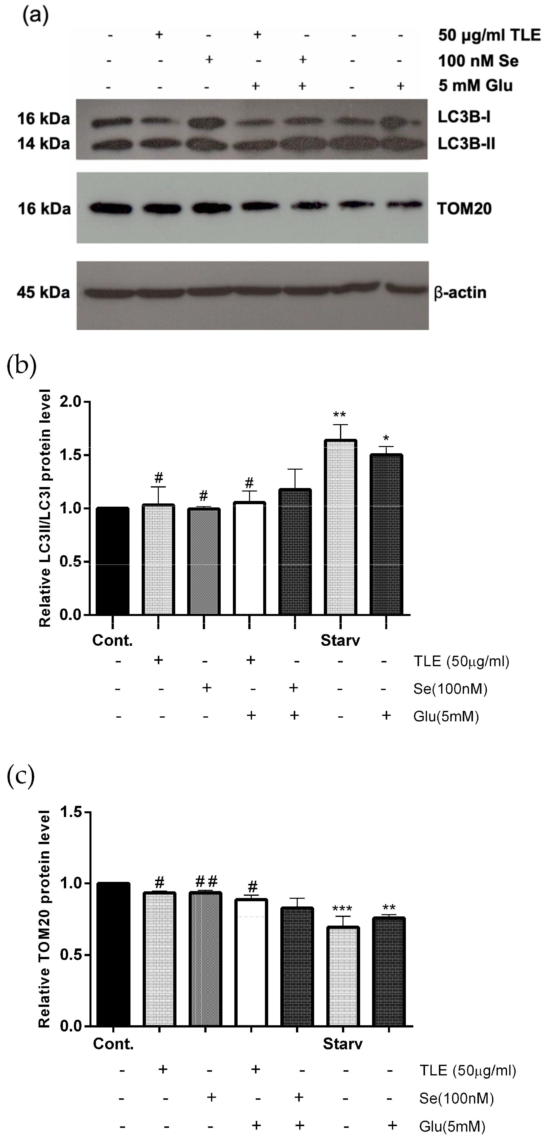 Antioxidants 10 01678 g006