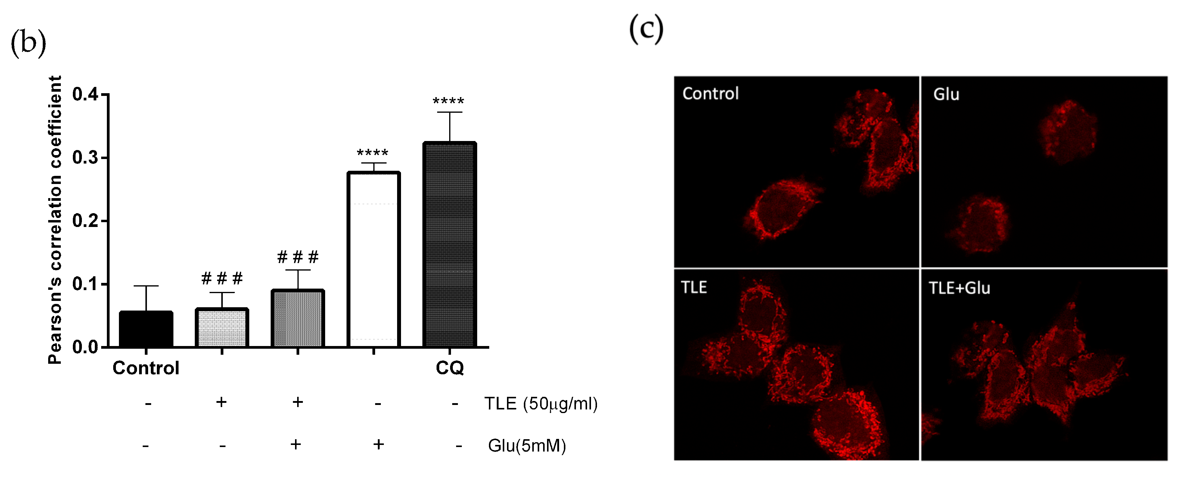 Antioxidants 10 01678 g007b