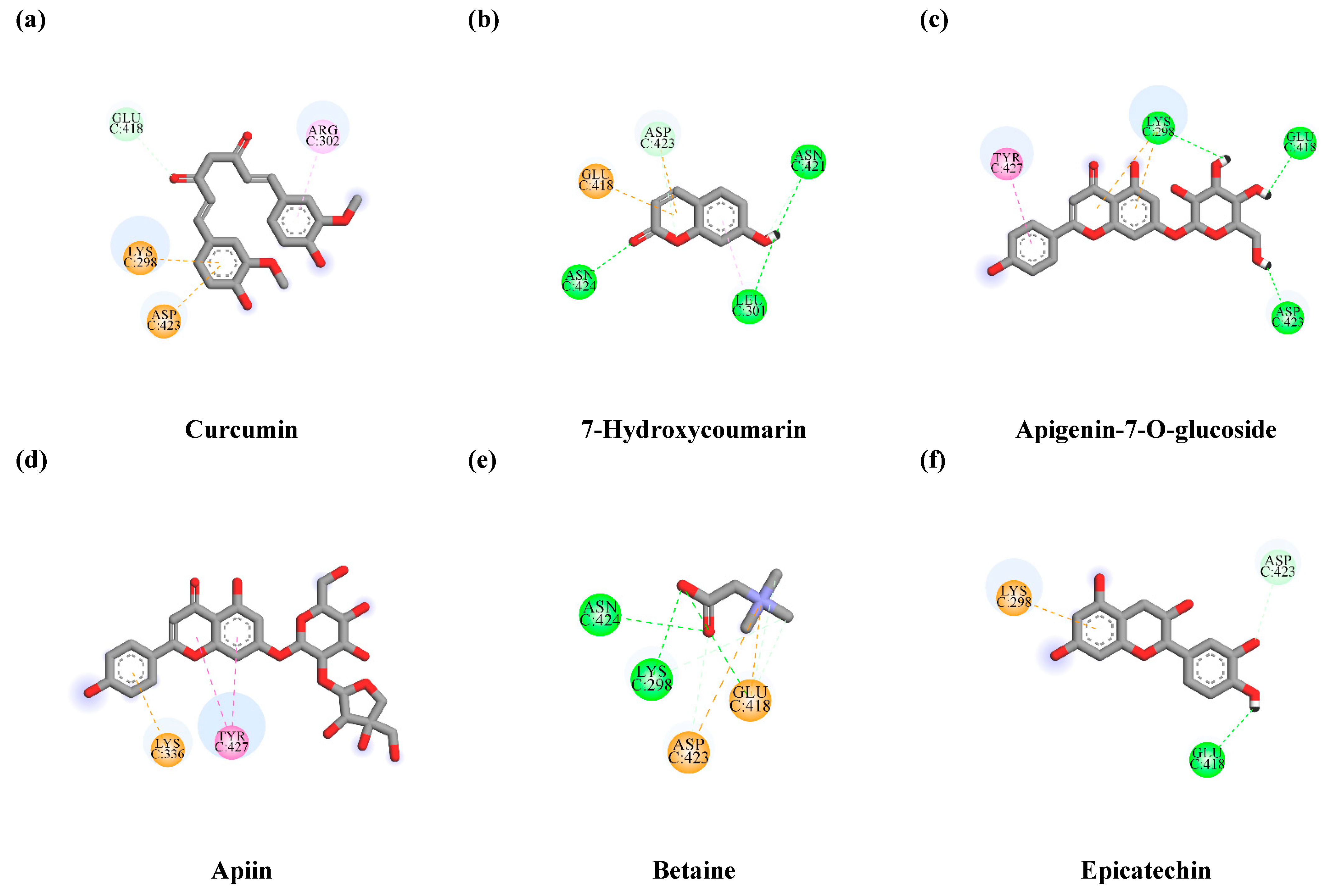 Antioxidants 10 01678 g008