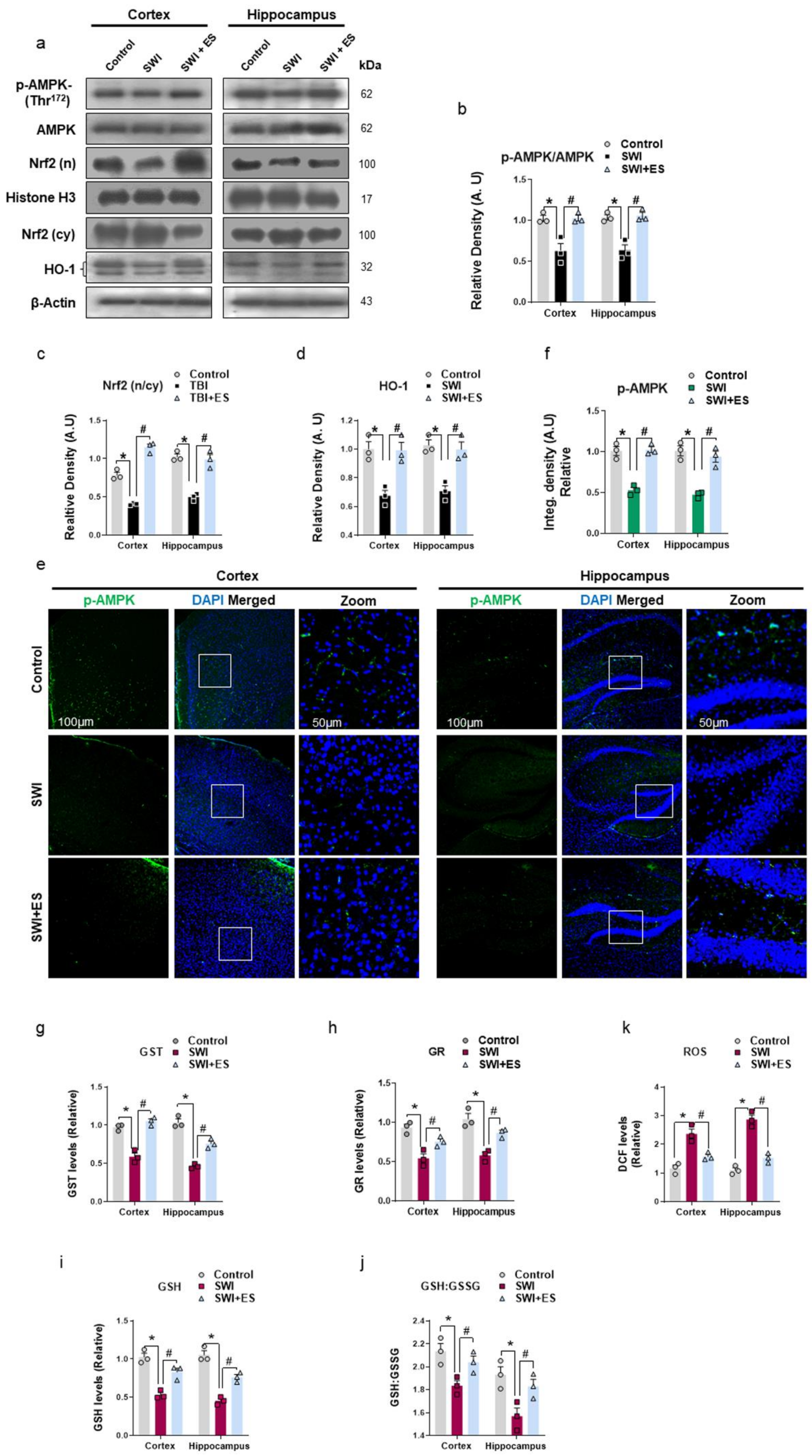Antioxidants 10 01682 g001