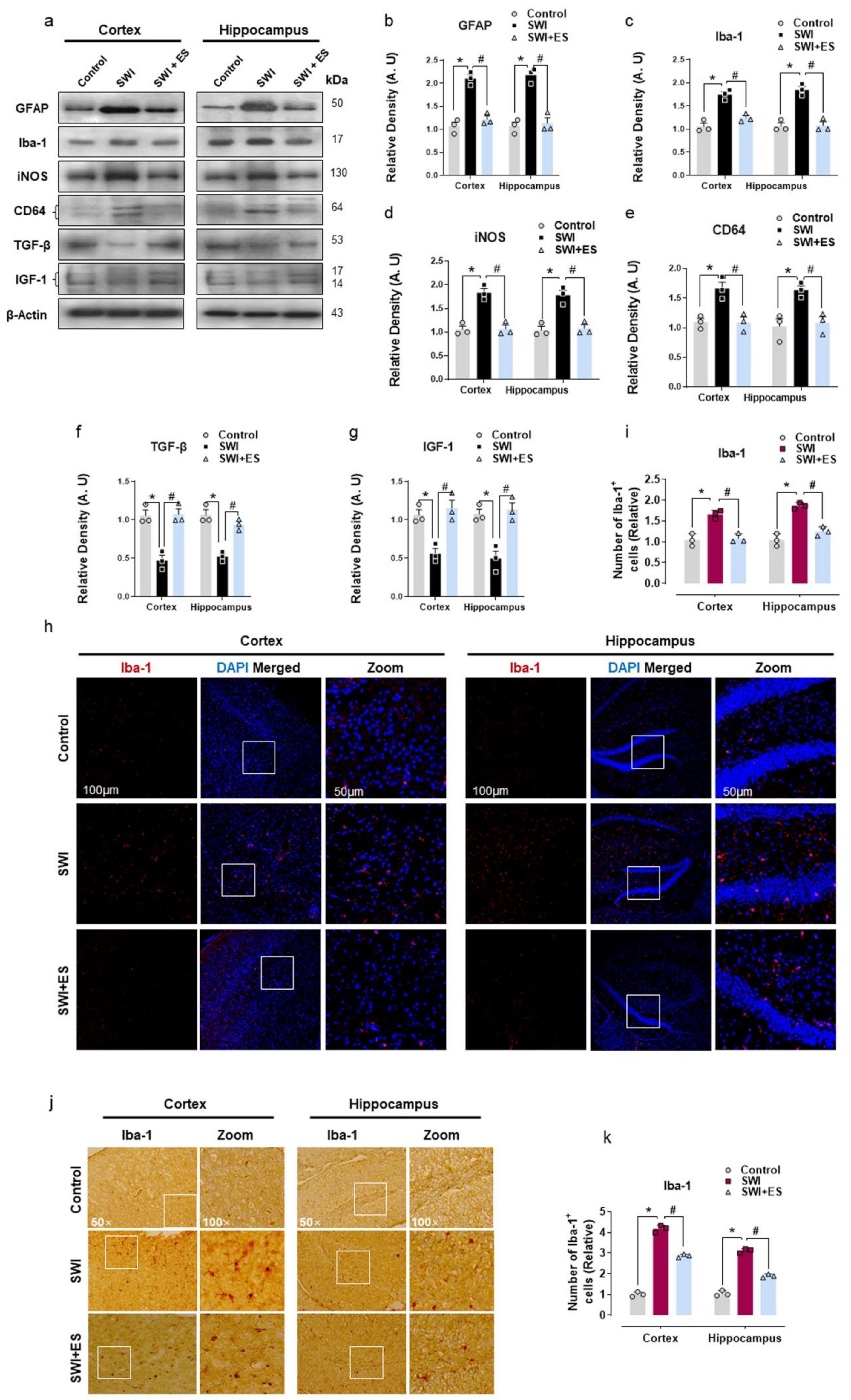 Antioxidants 10 01682 g002