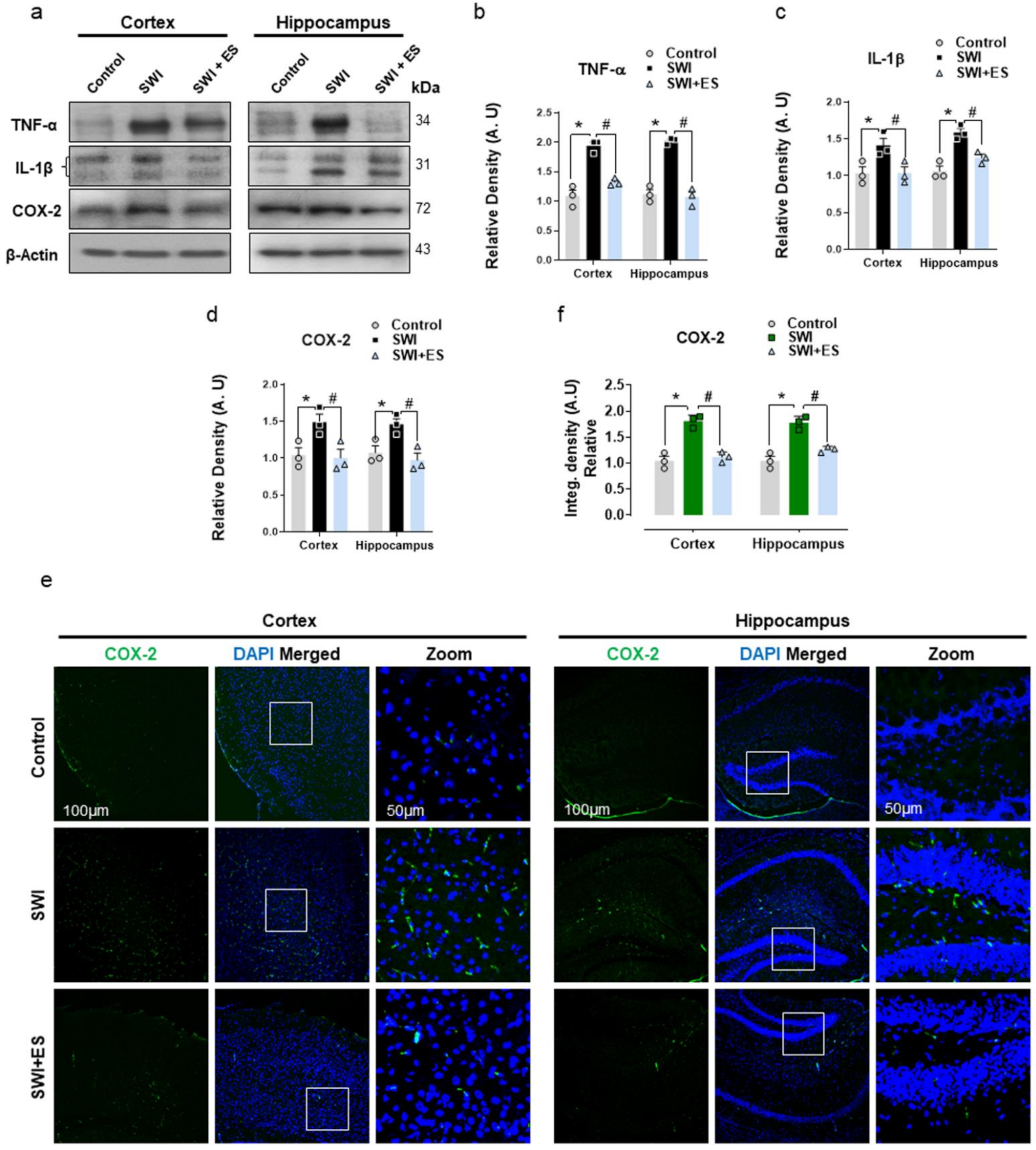 Antioxidants 10 01682 g003