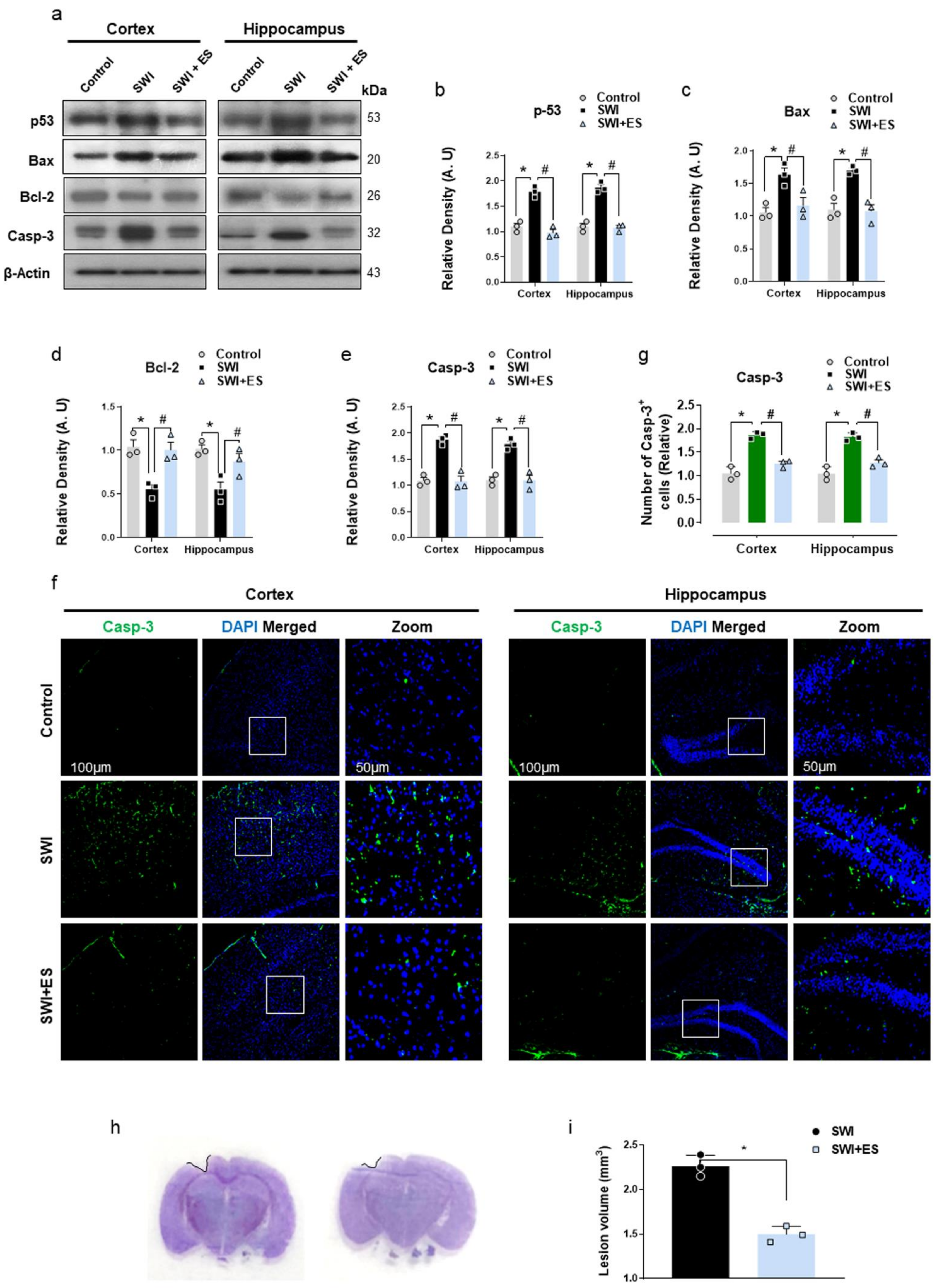 Antioxidants 10 01682 g004