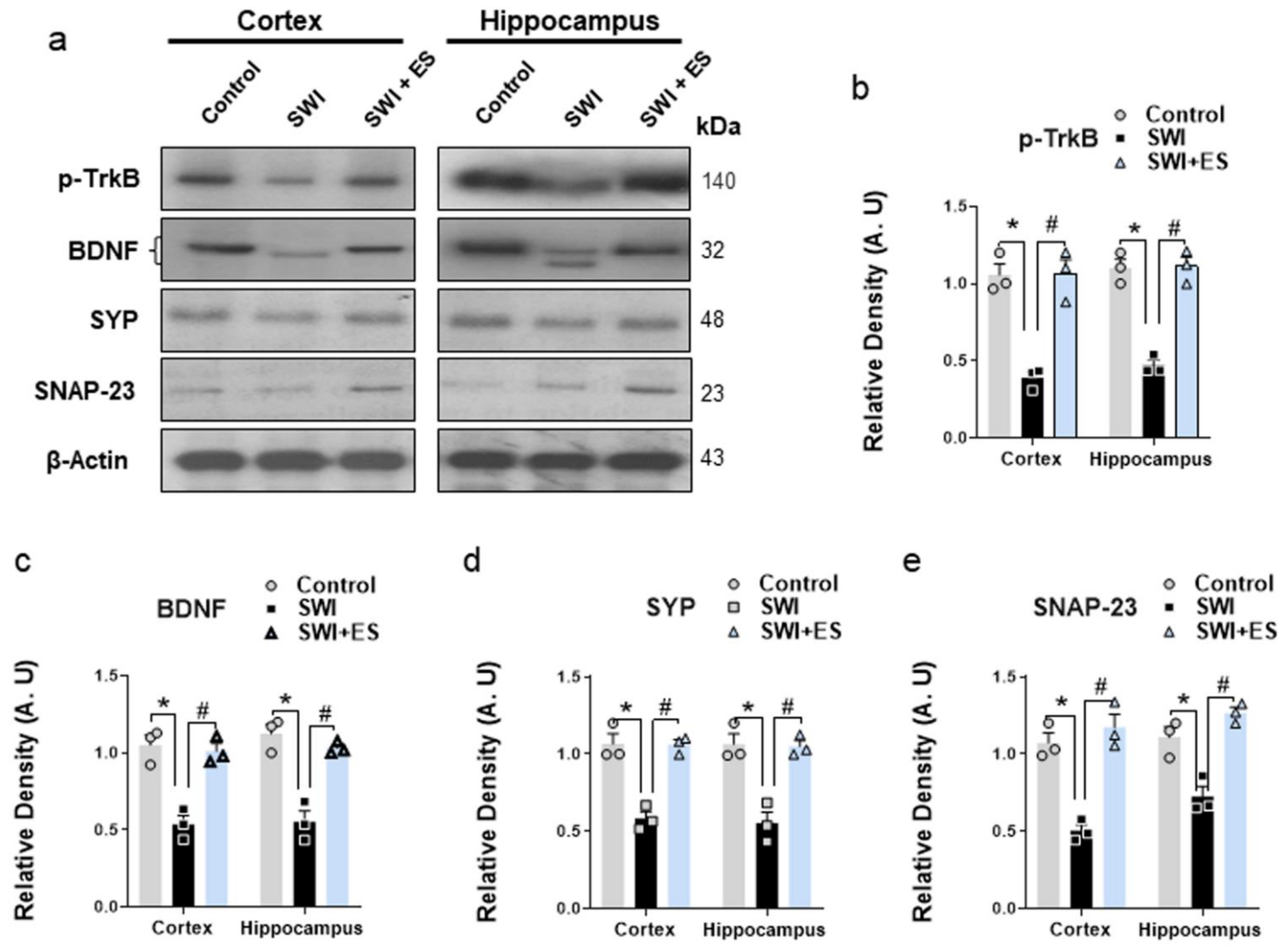 Antioxidants 10 01682 g005