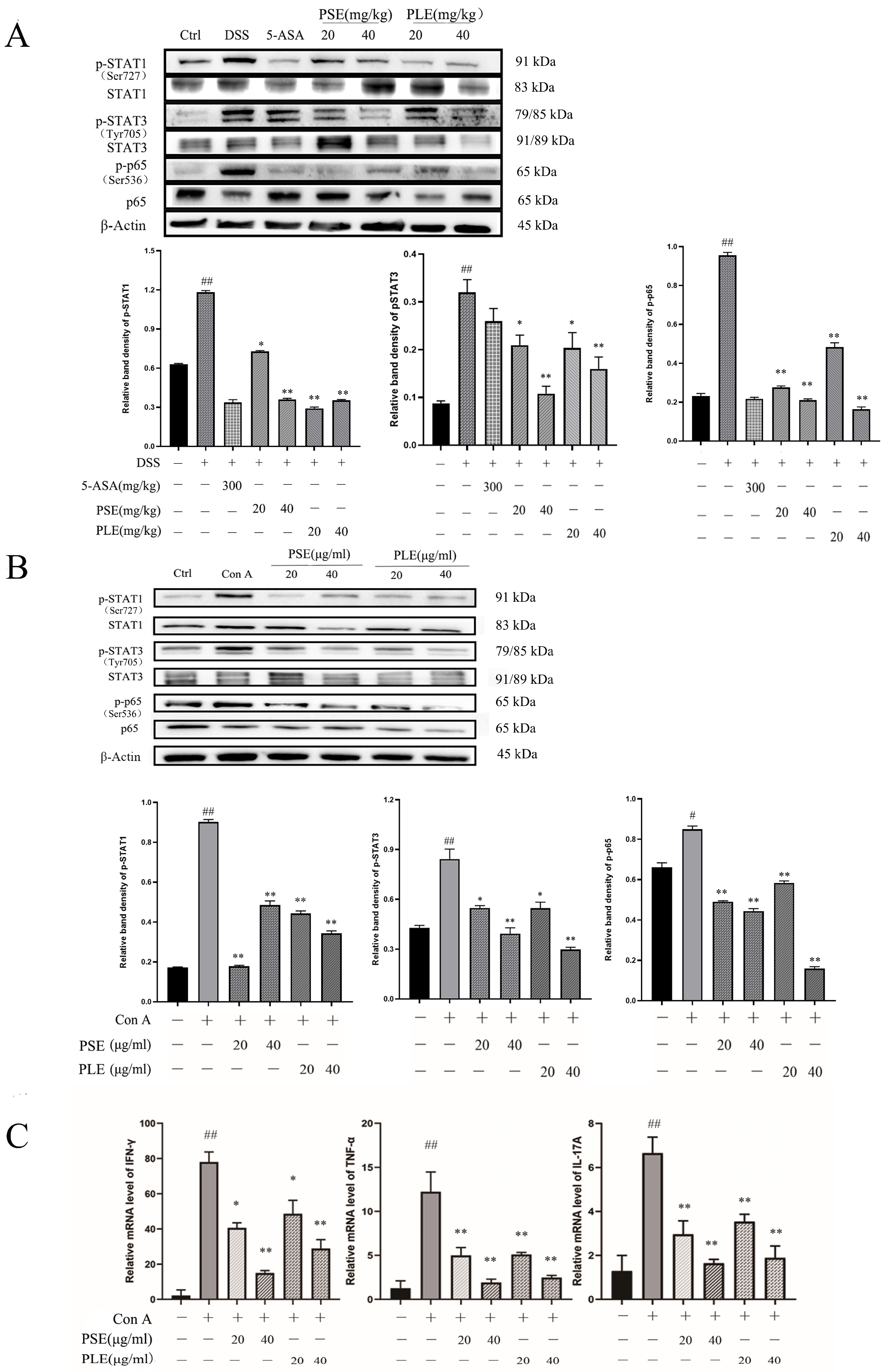 Antioxidants 10 01684 g006