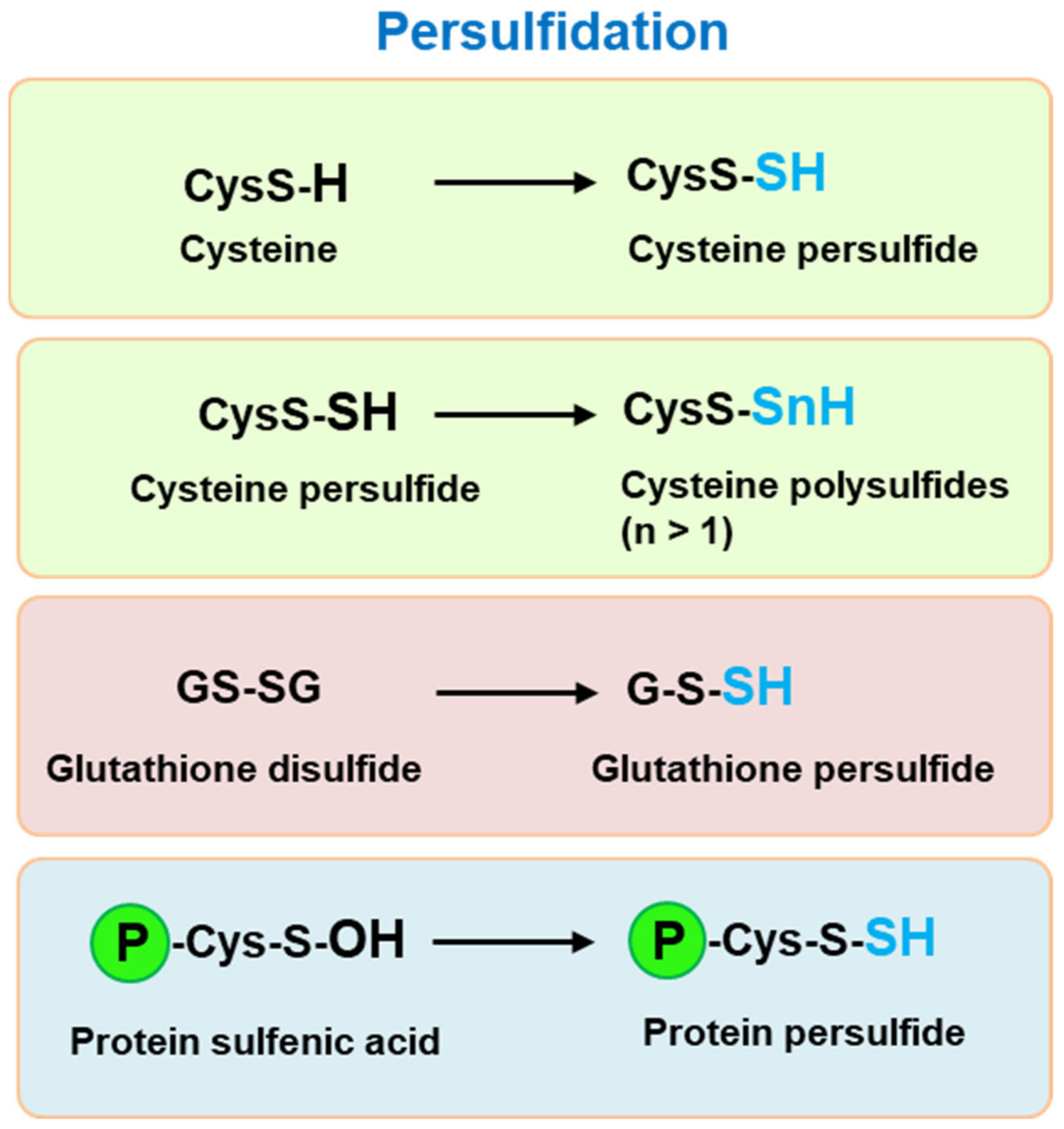 Antioxidants 10 01686 g002