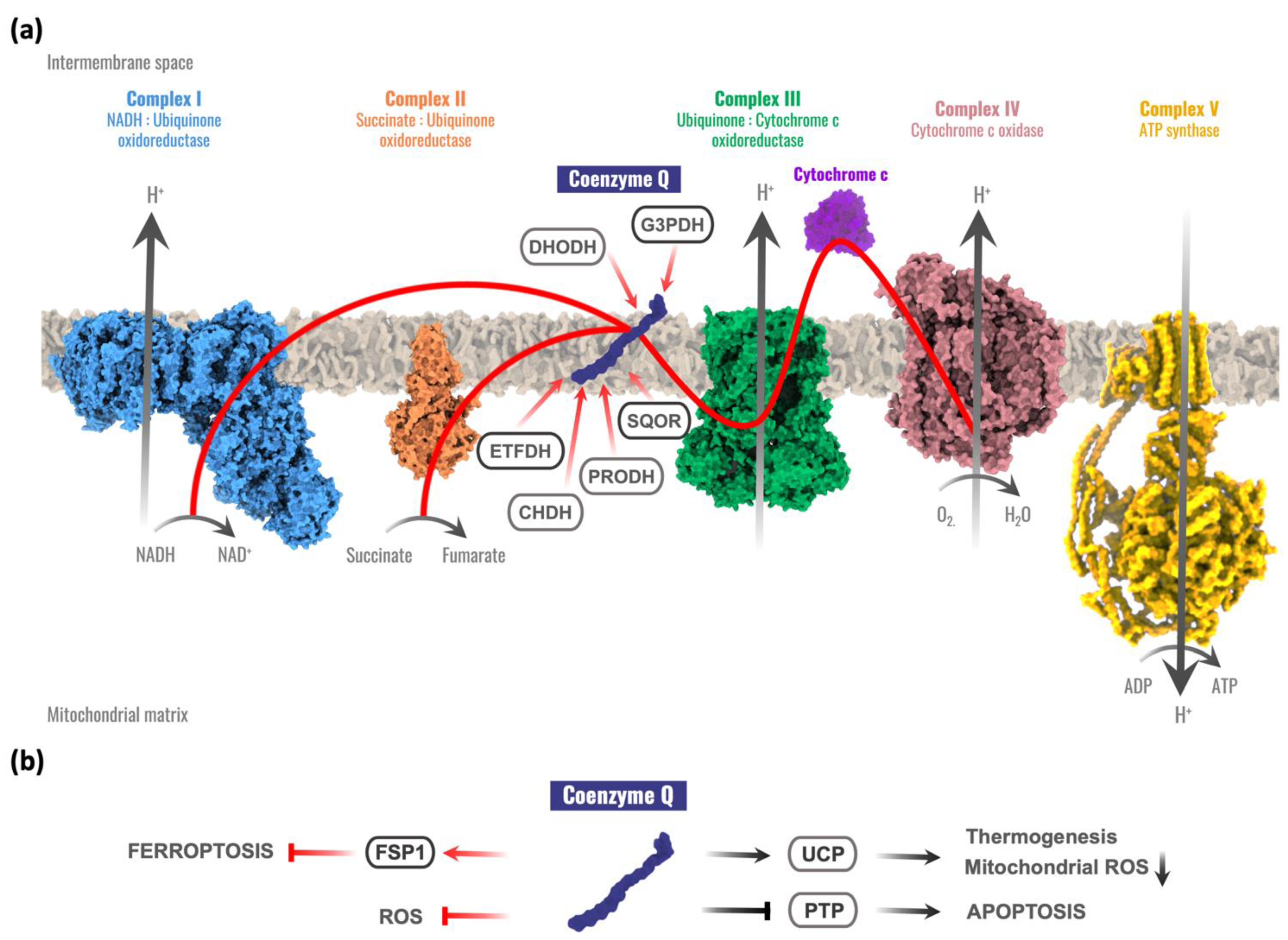 Antioxidants 10 01687 g001
