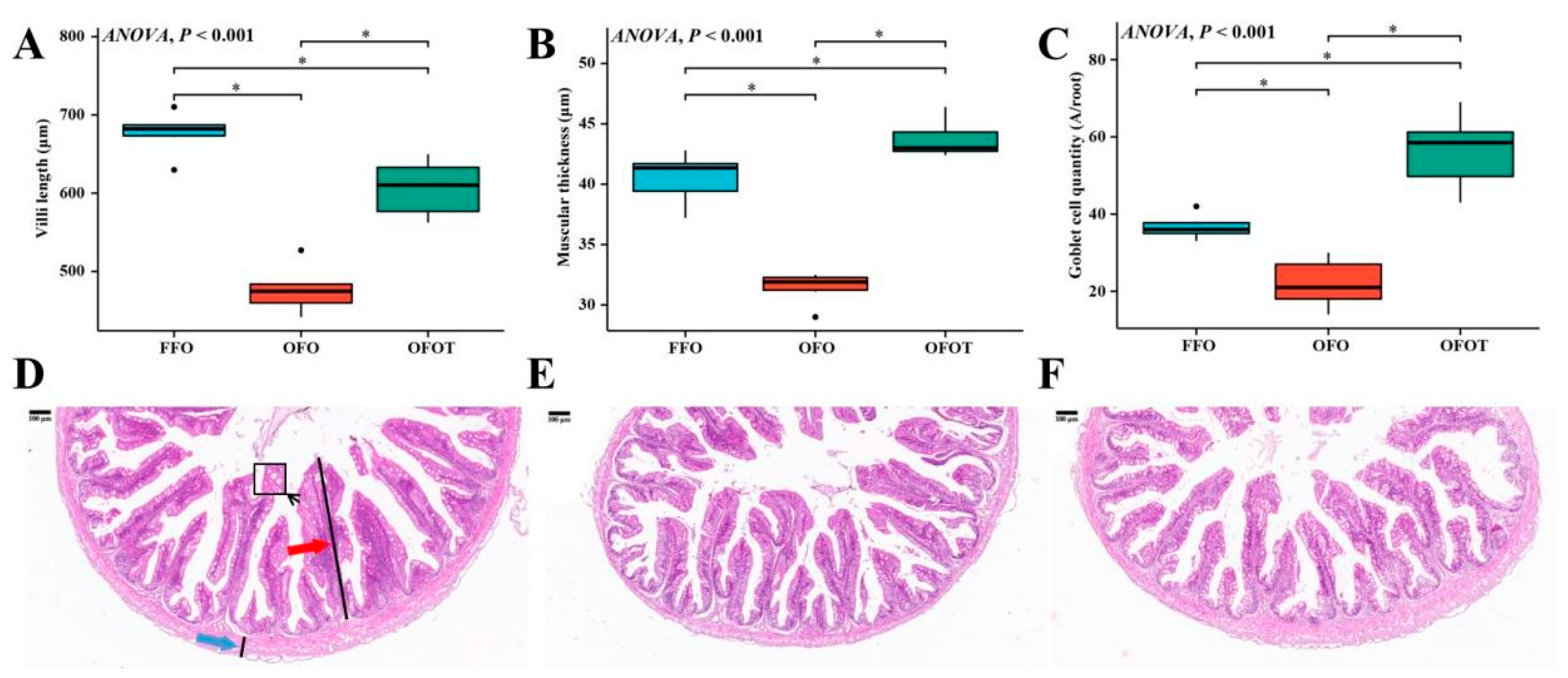 Antioxidants 10 01690 g005