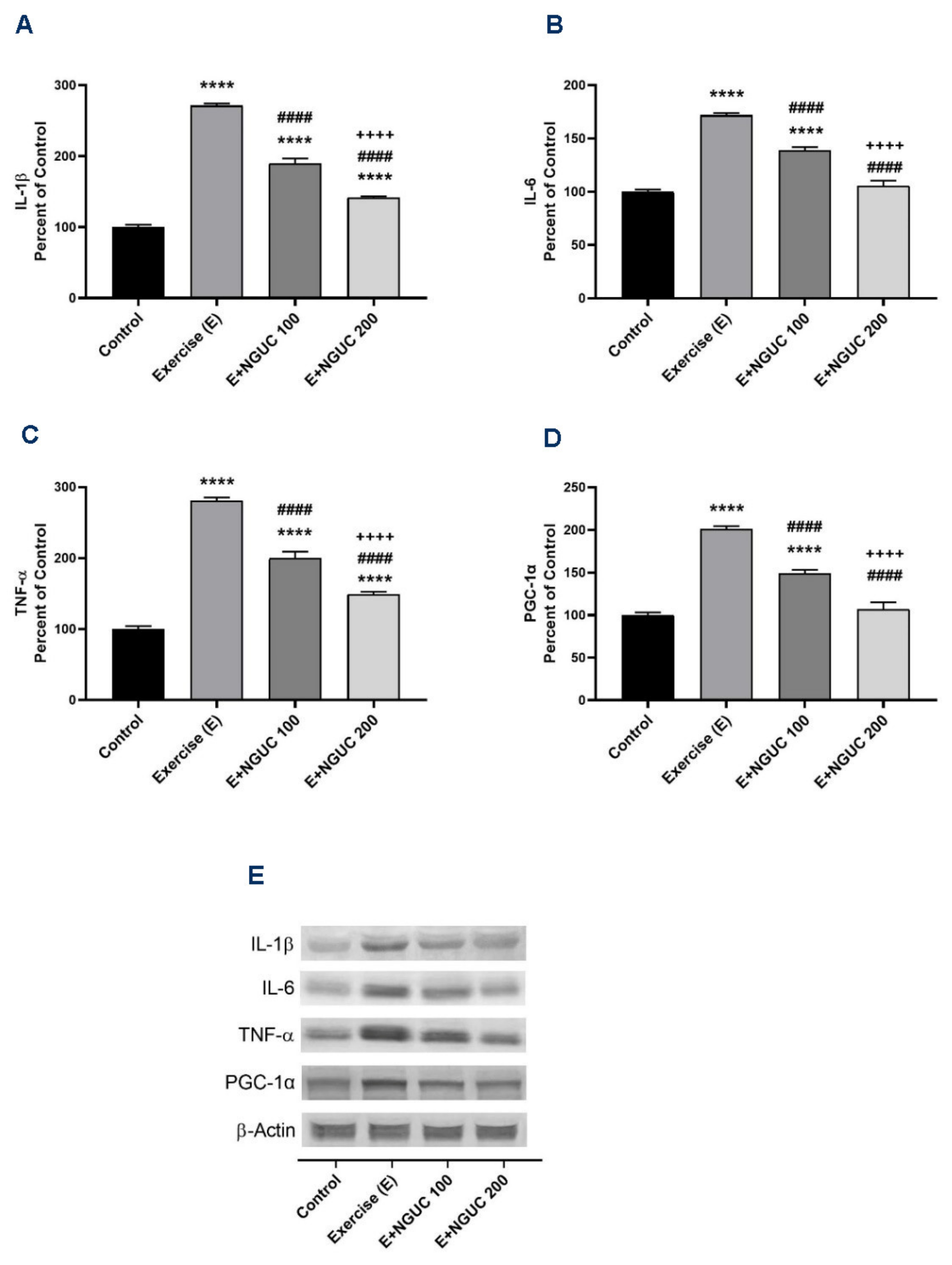 Antioxidants 10 01692 g005