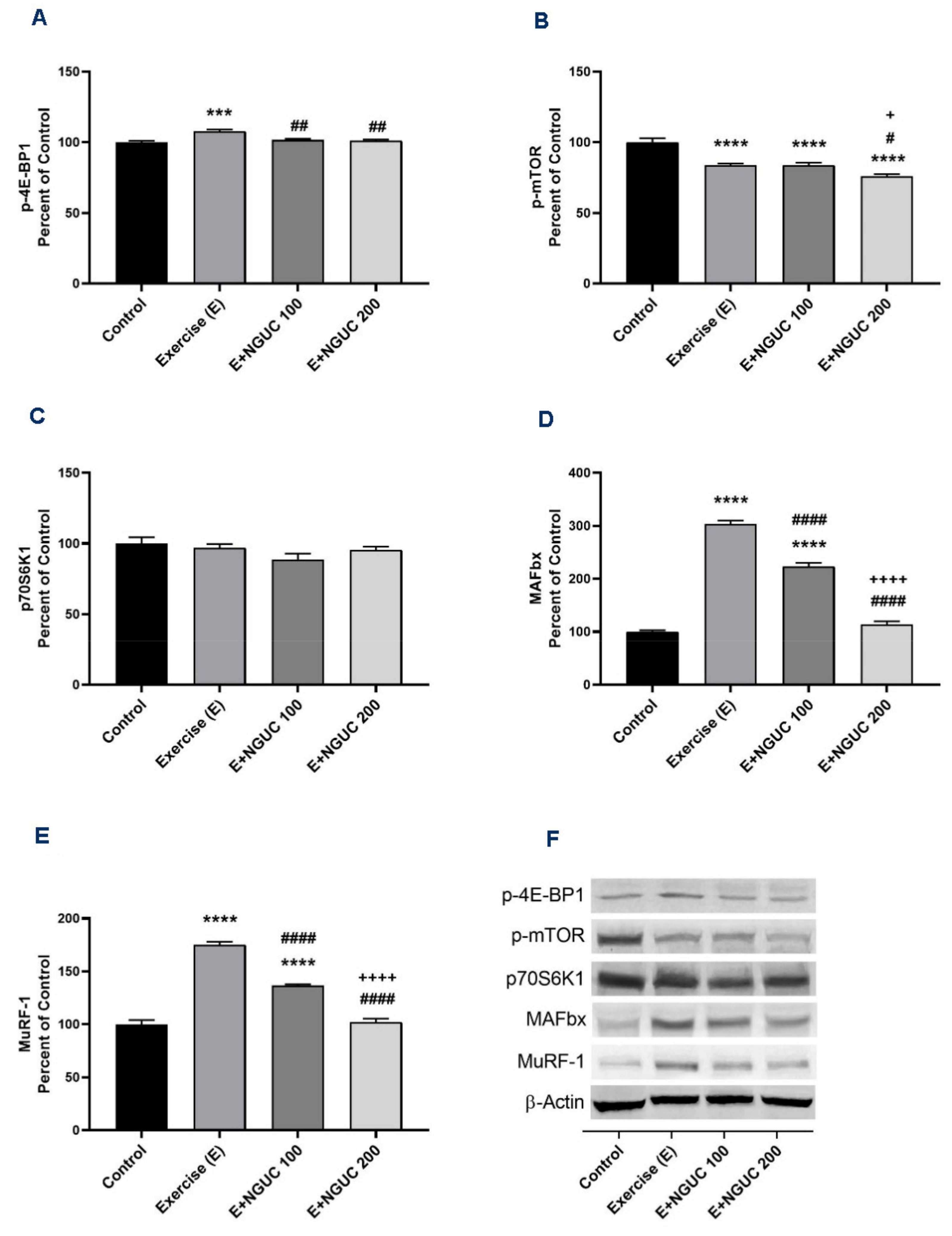 Antioxidants 10 01692 g006