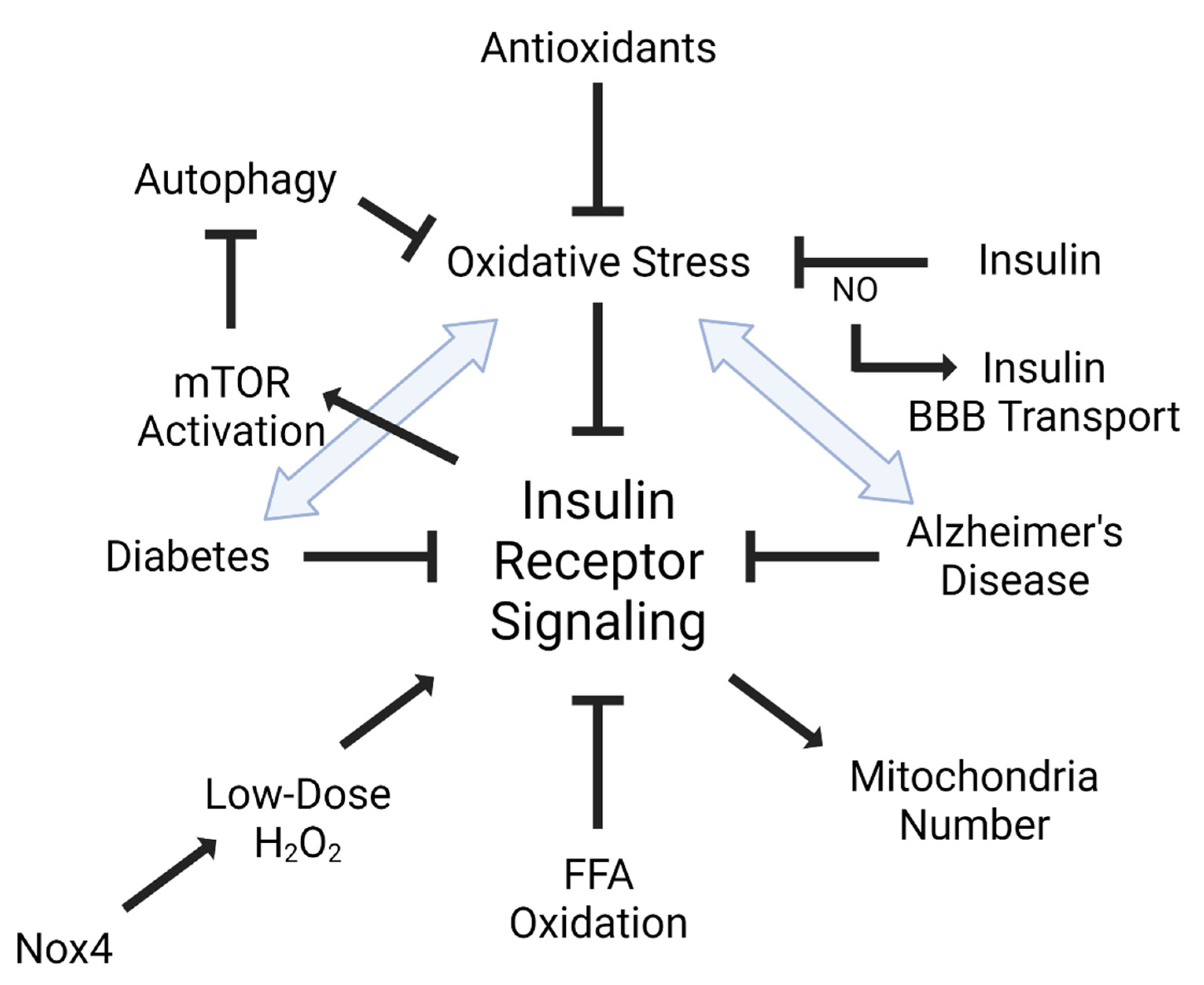 Antioxidants 10 01695 g002