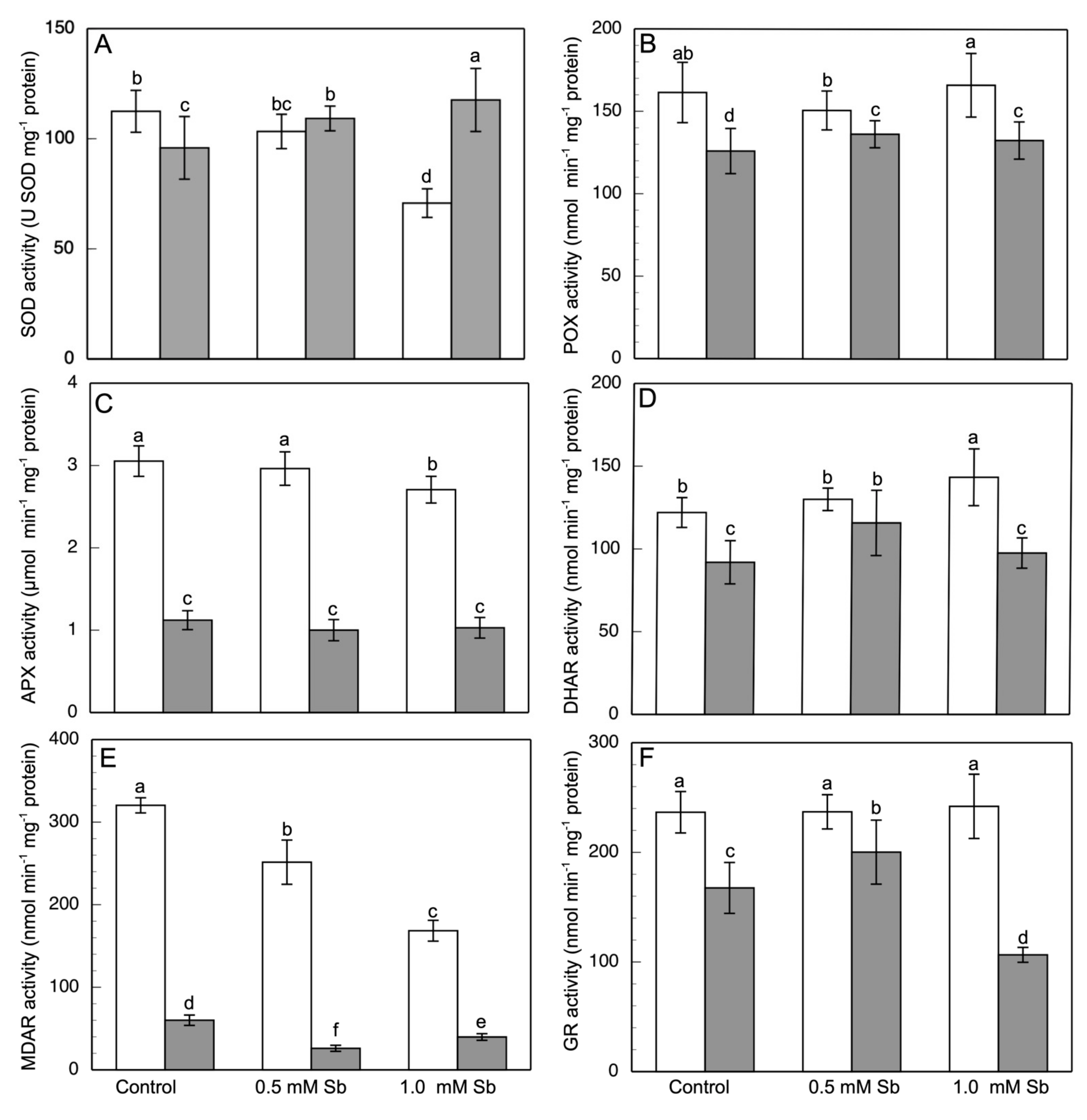 Antioxidants 10 01698 g004