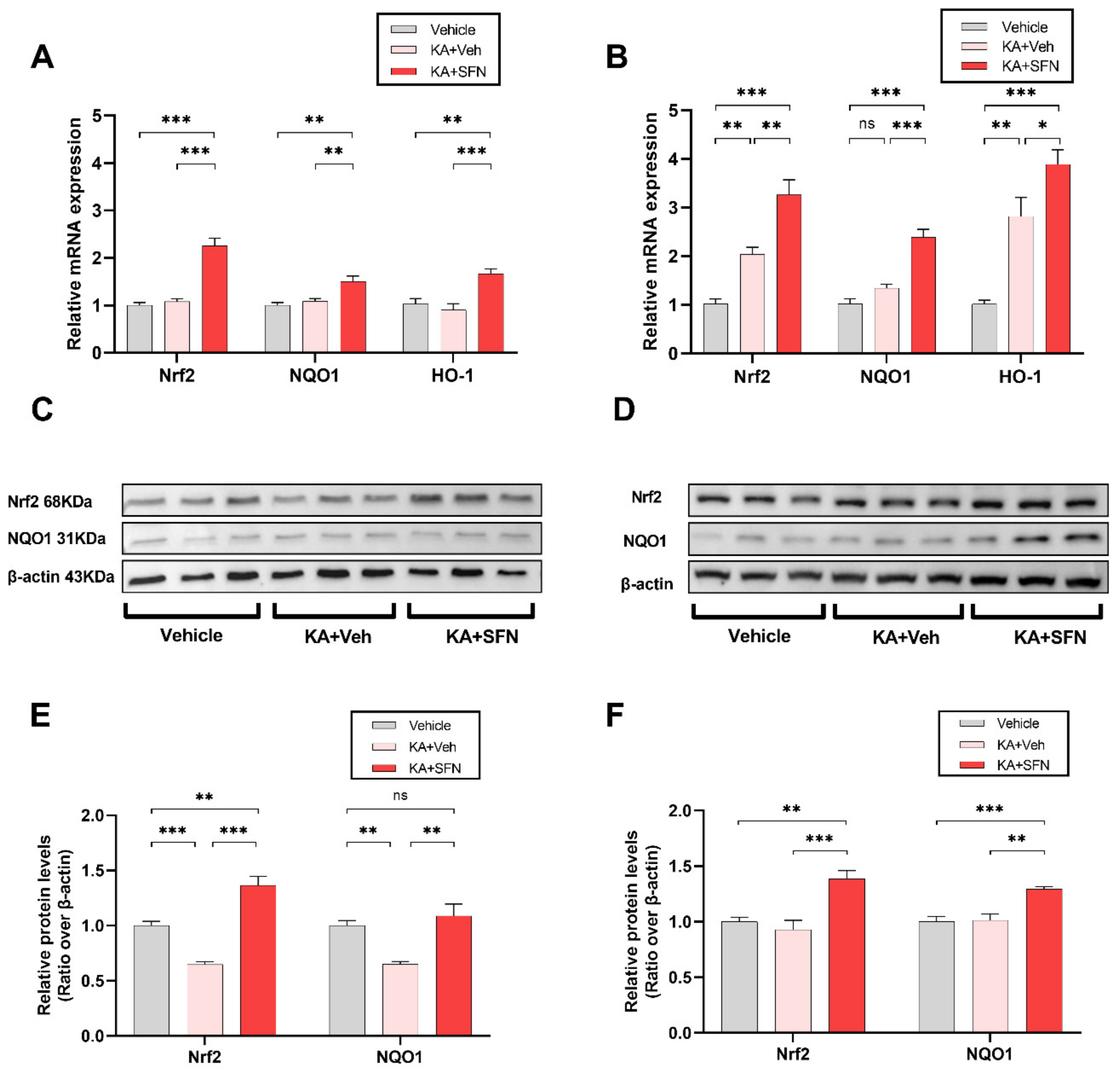 Antioxidants 10 01702 g002