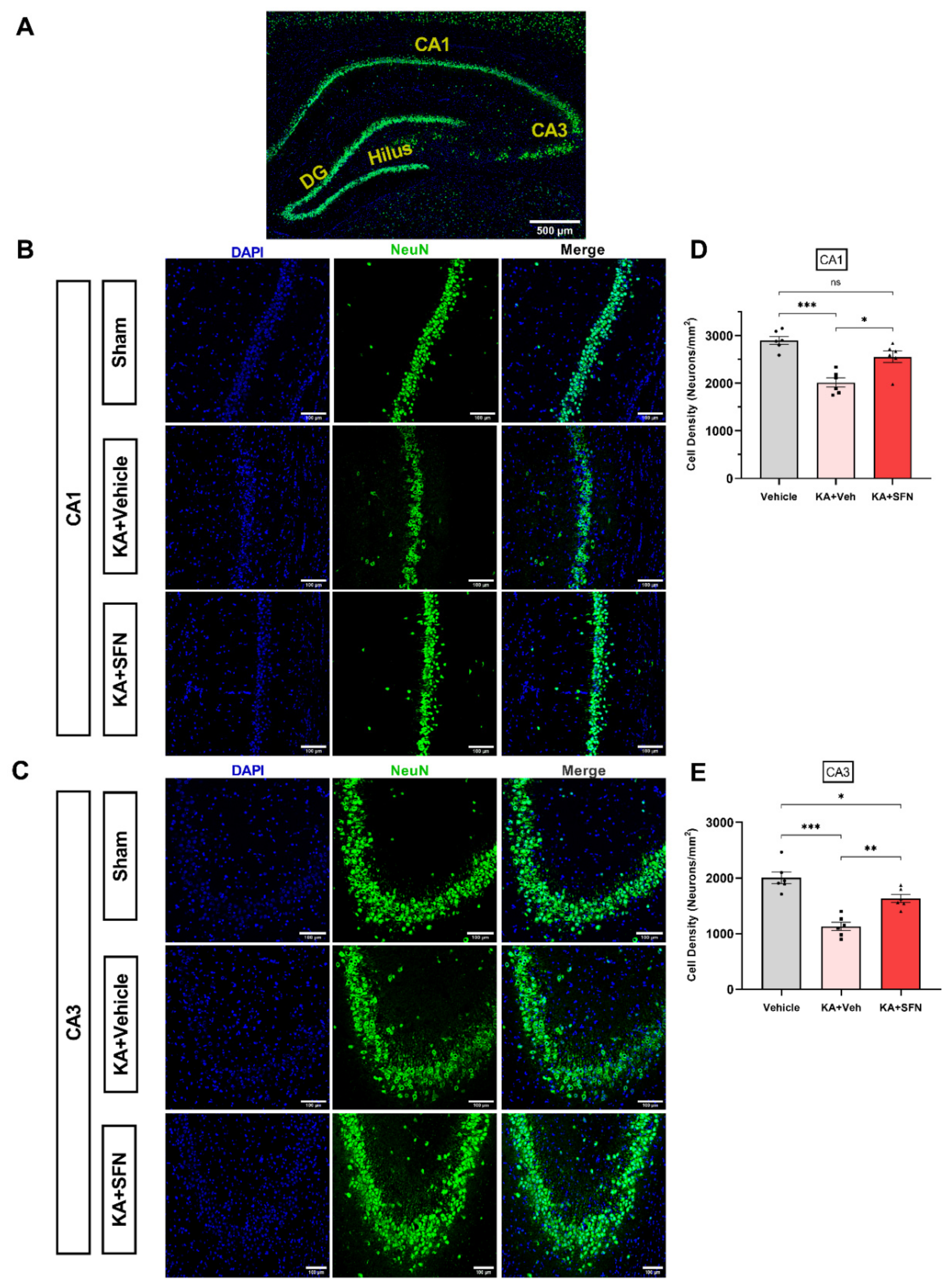Antioxidants 10 01702 g005