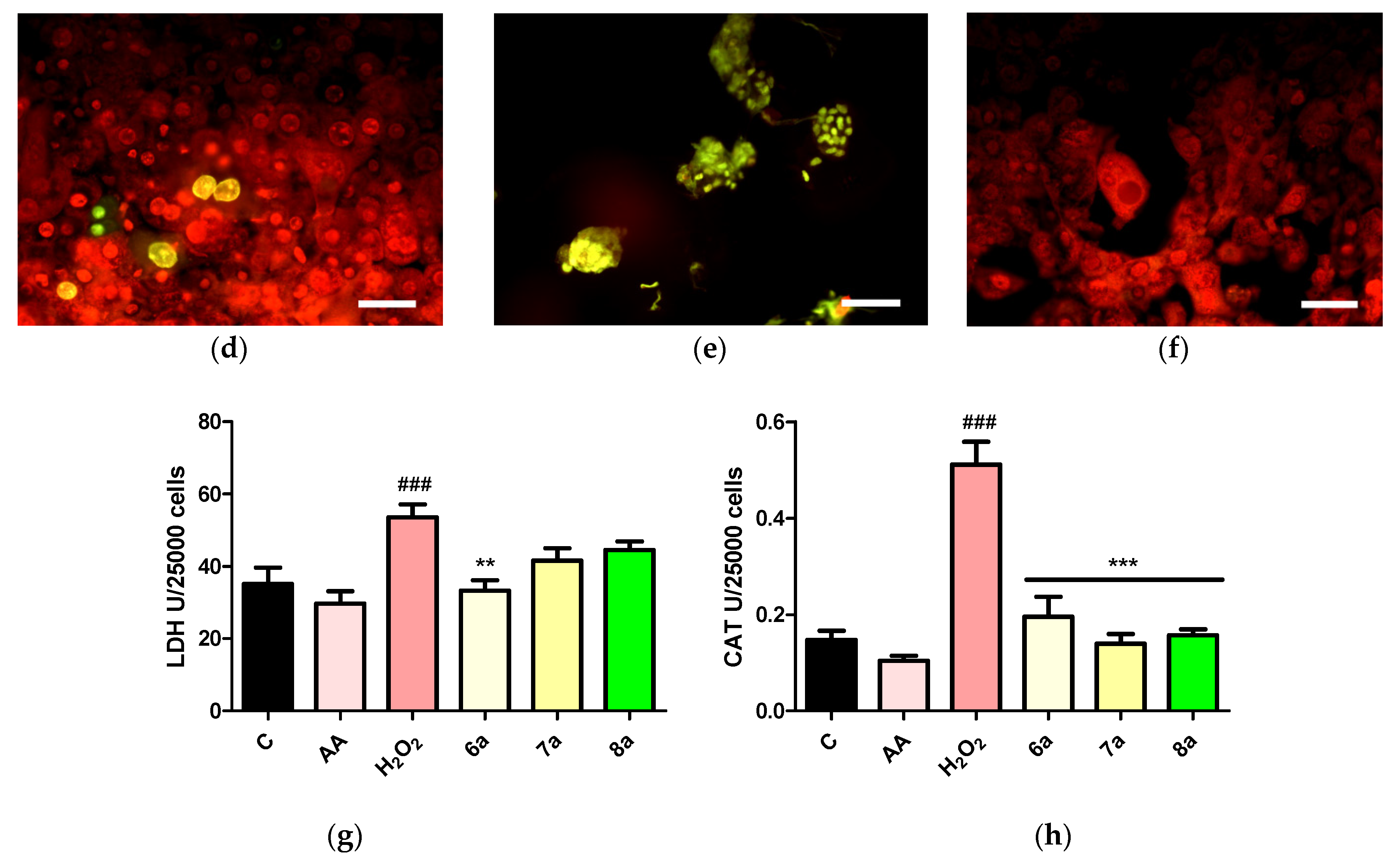Antioxidants 10 01707 g006b