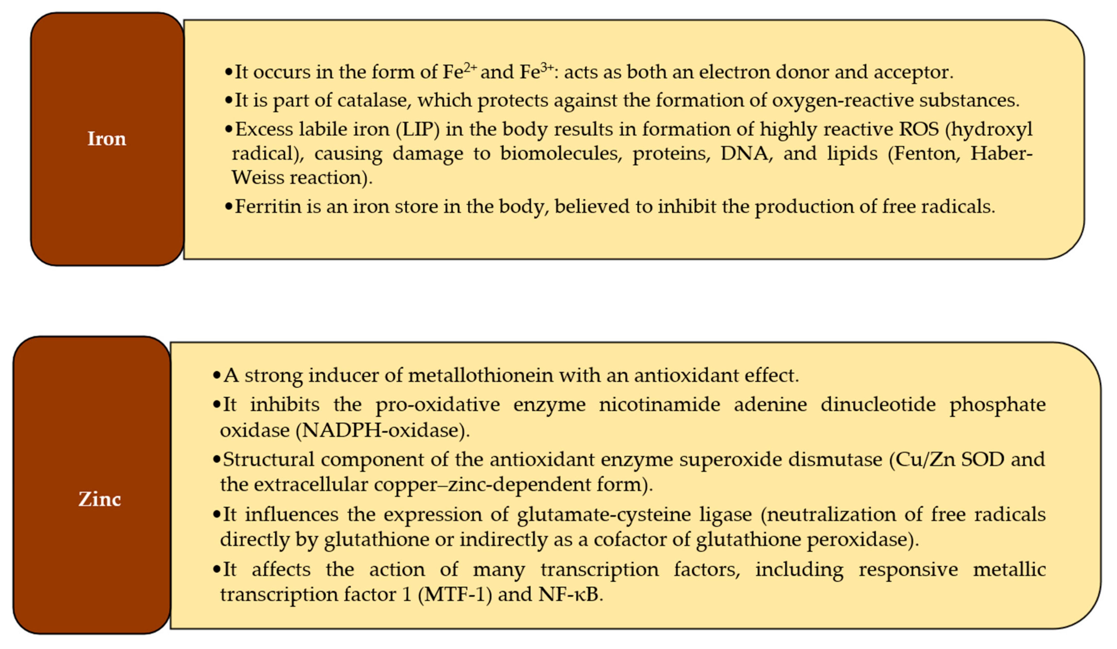 Antioxidants 10 01709 g001a