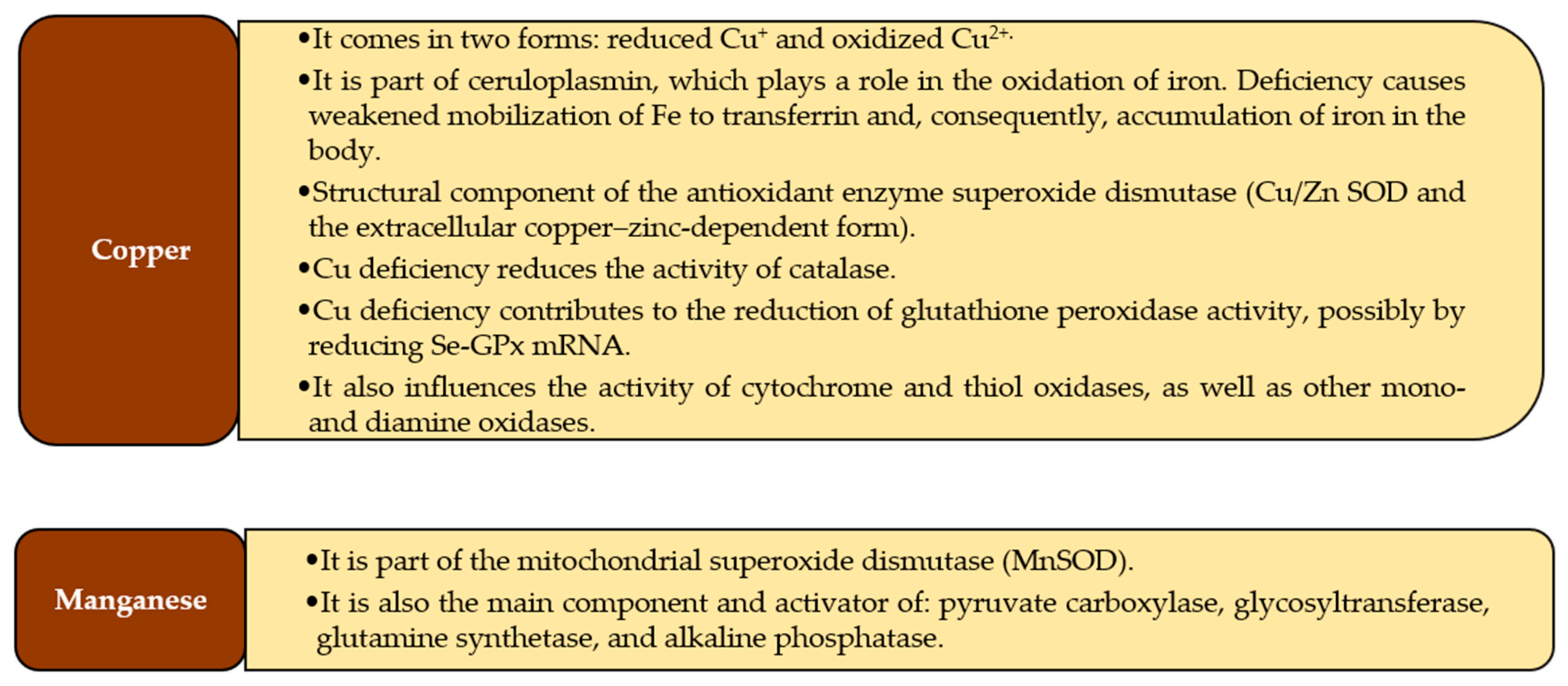 Antioxidants 10 01709 g001b