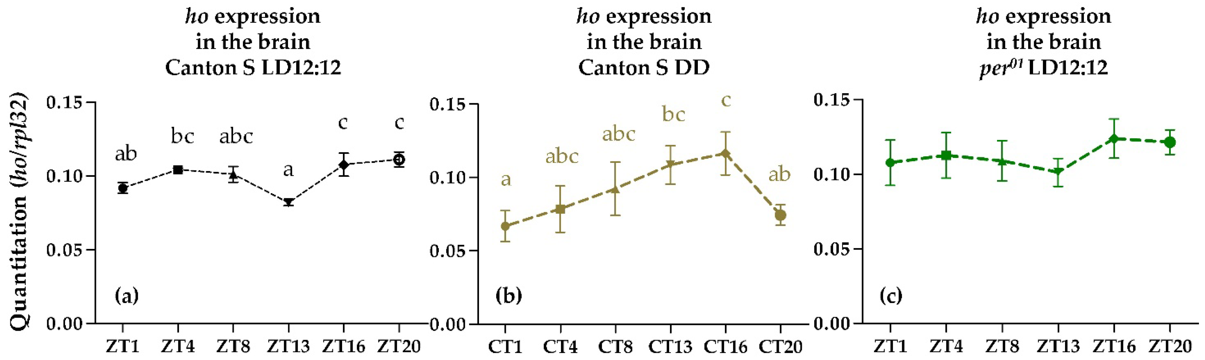 Antioxidants 10 01716 g001