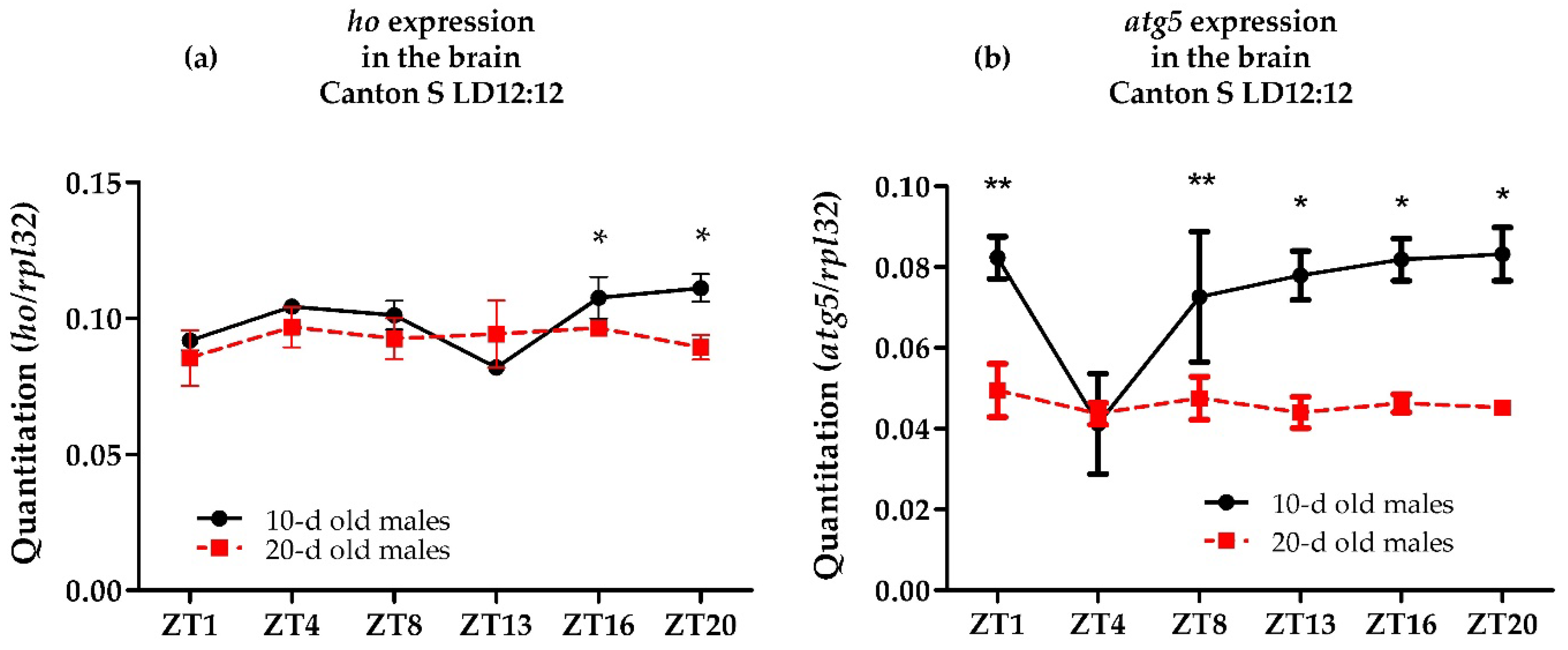 Antioxidants 10 01716 g002