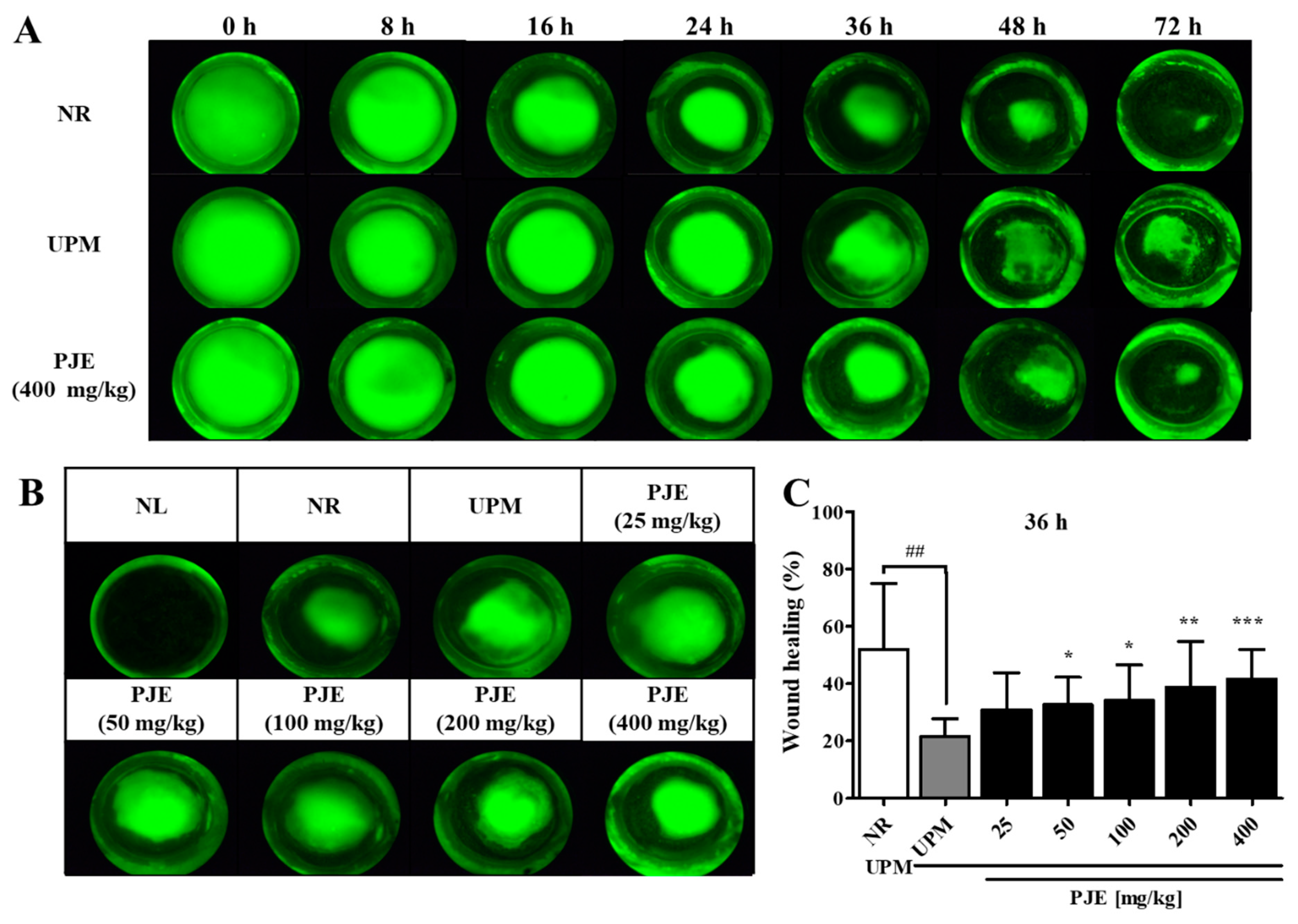 Antioxidants 10 01717 g005
