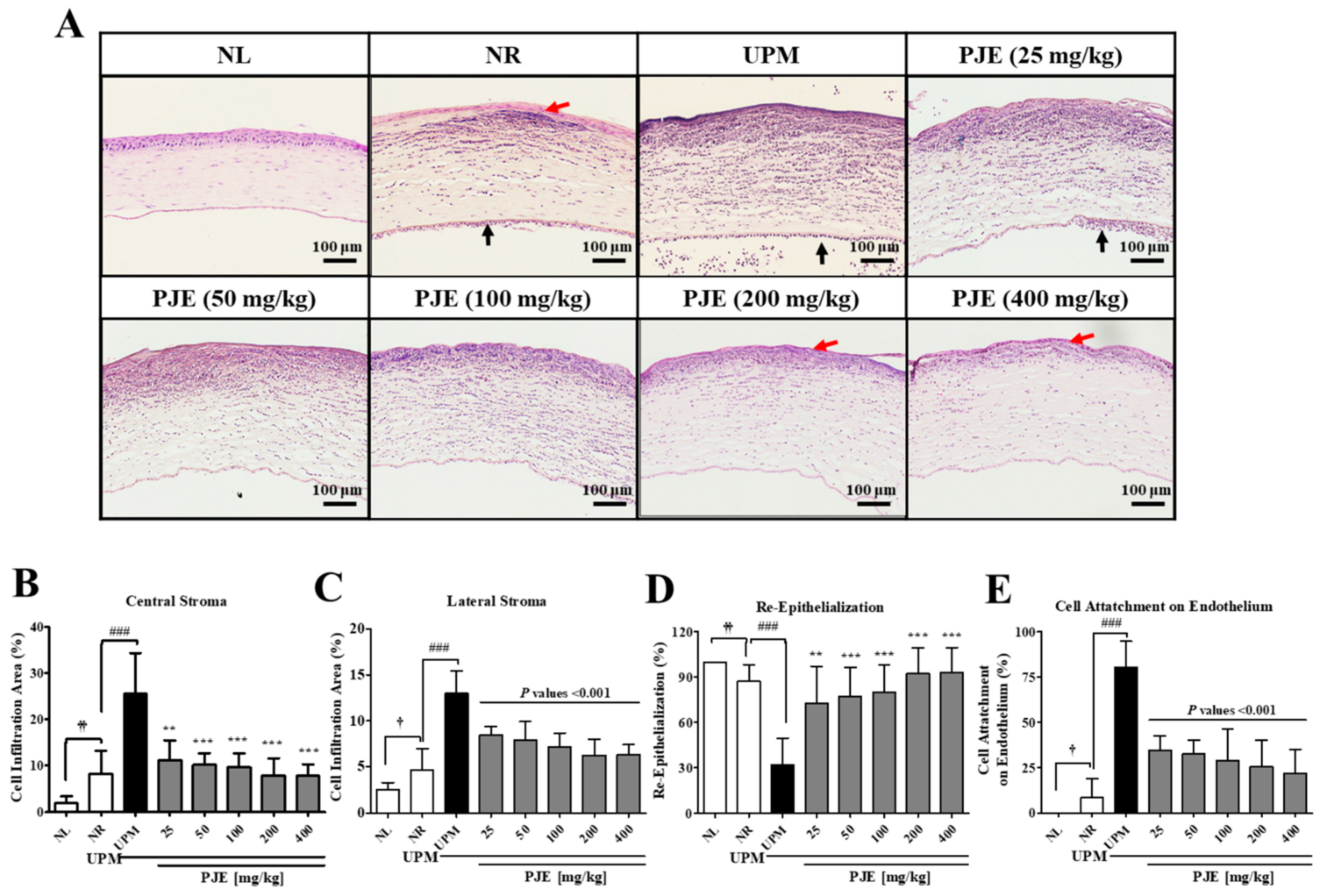 Antioxidants 10 01717 g006