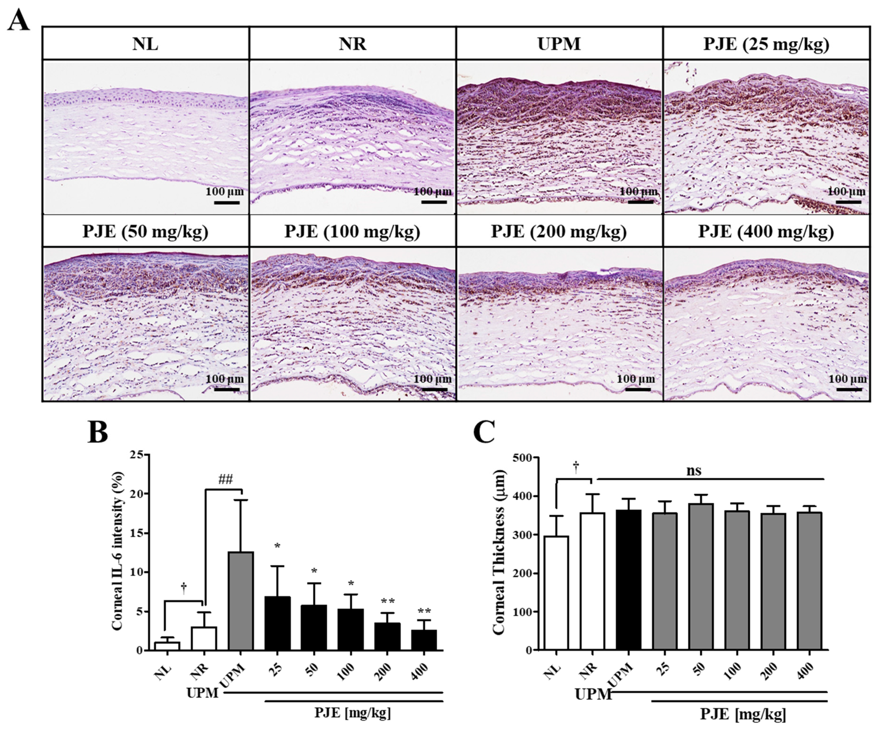 Antioxidants 10 01717 g007