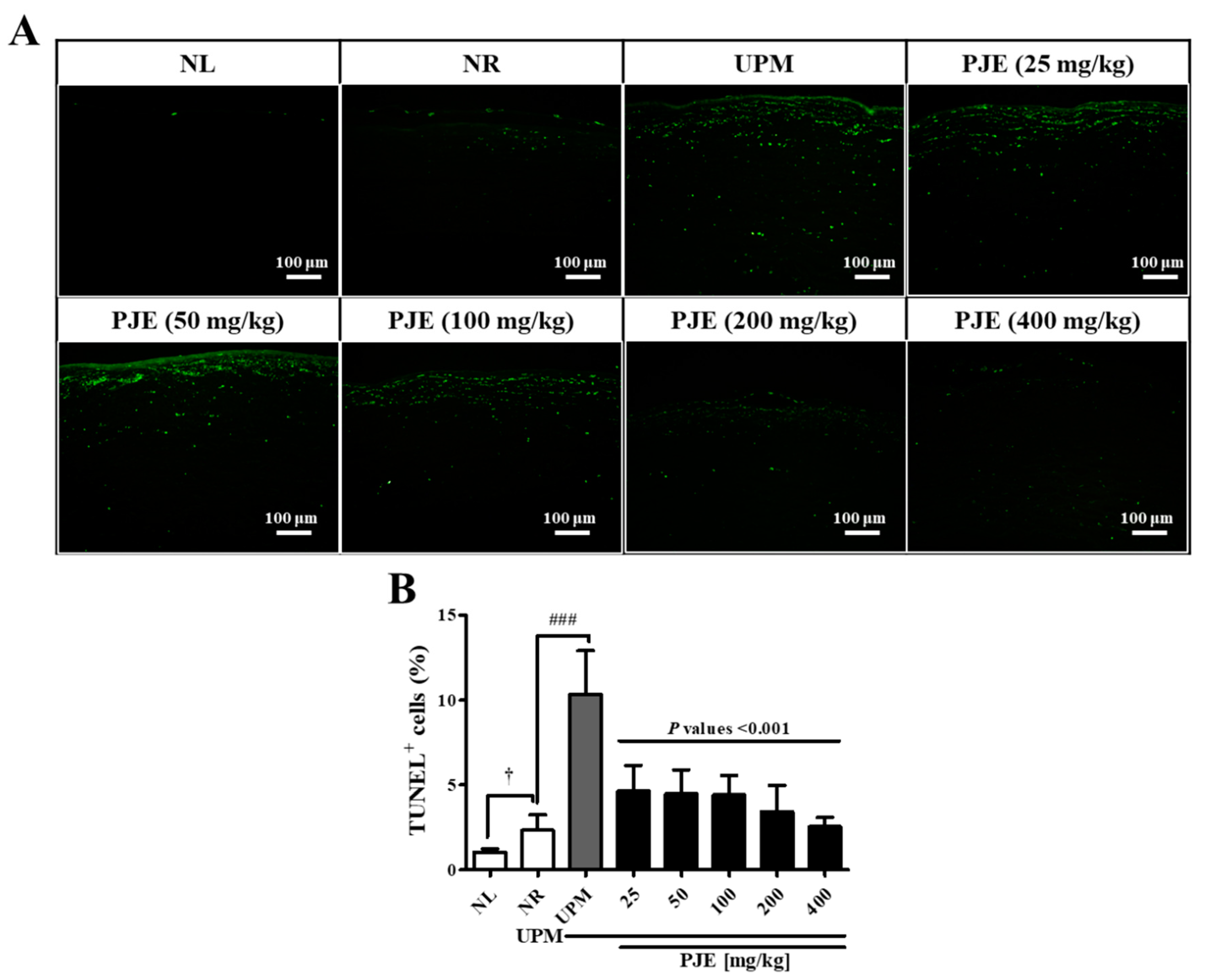 Antioxidants 10 01717 g008