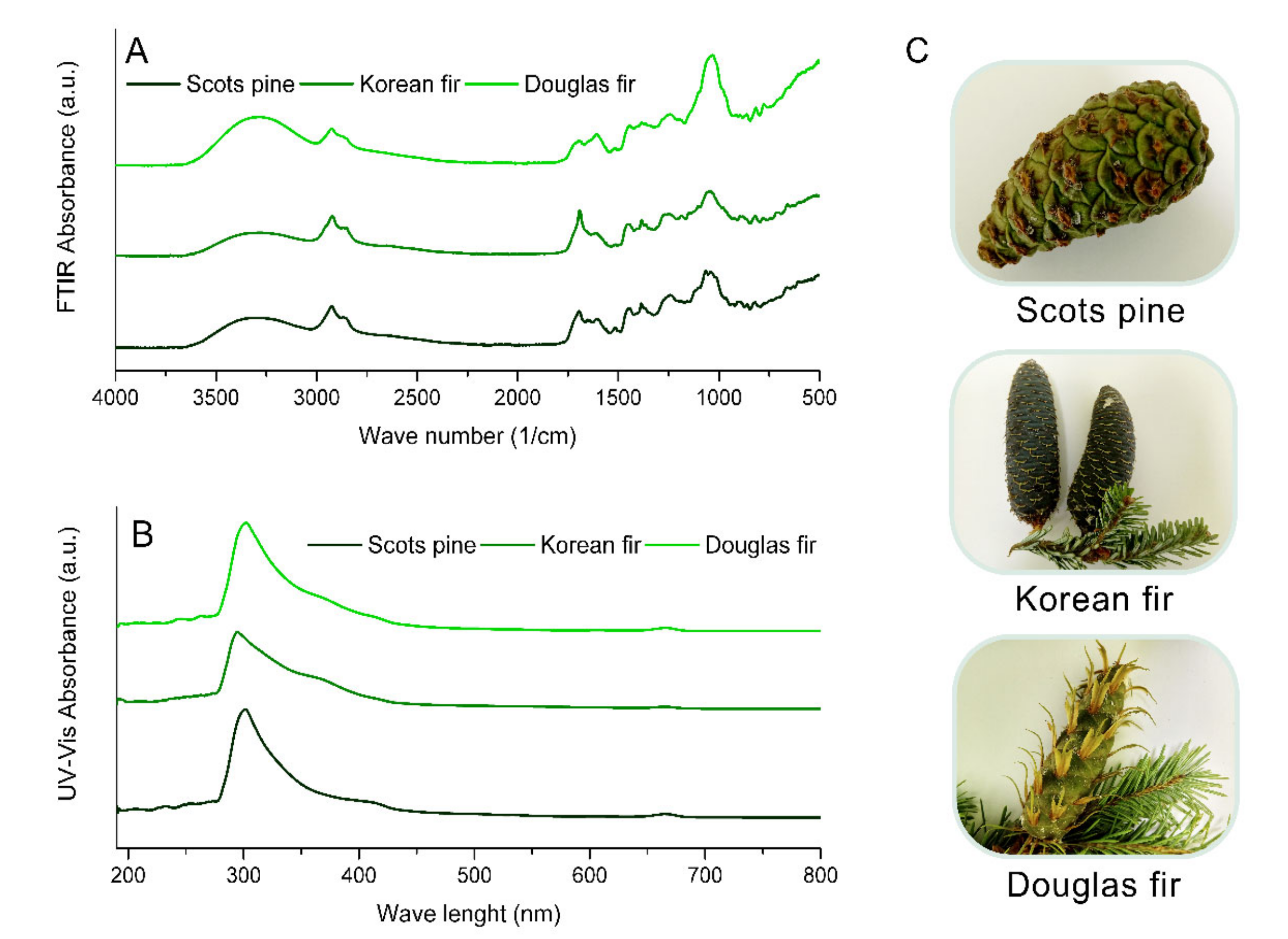 Antioxidants 10 01723 g001
