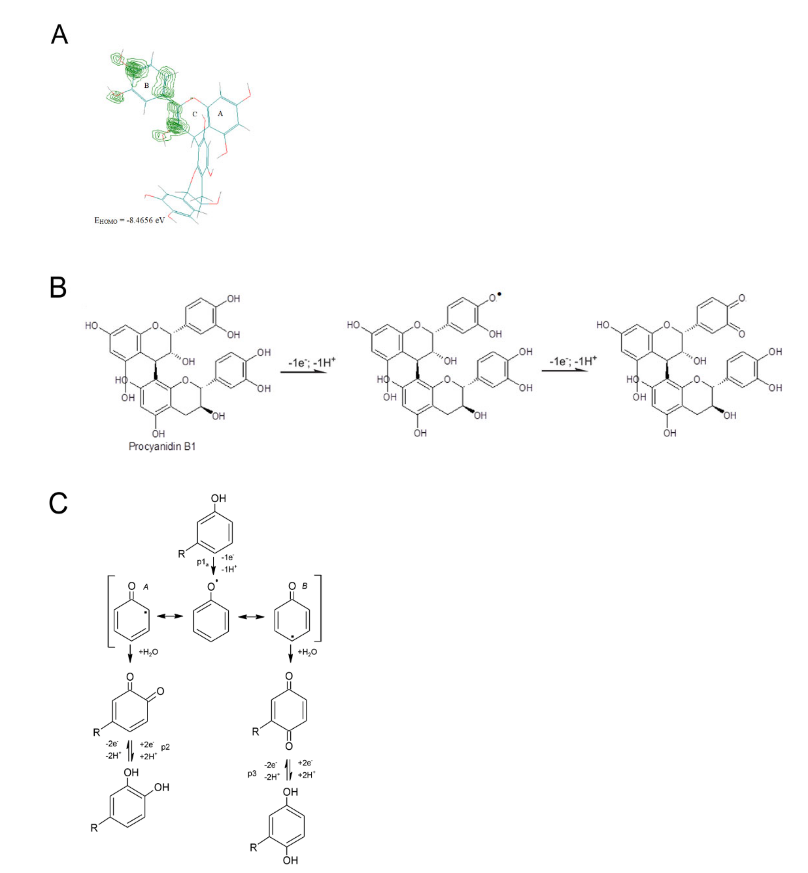 Antioxidants 10 01723 g003