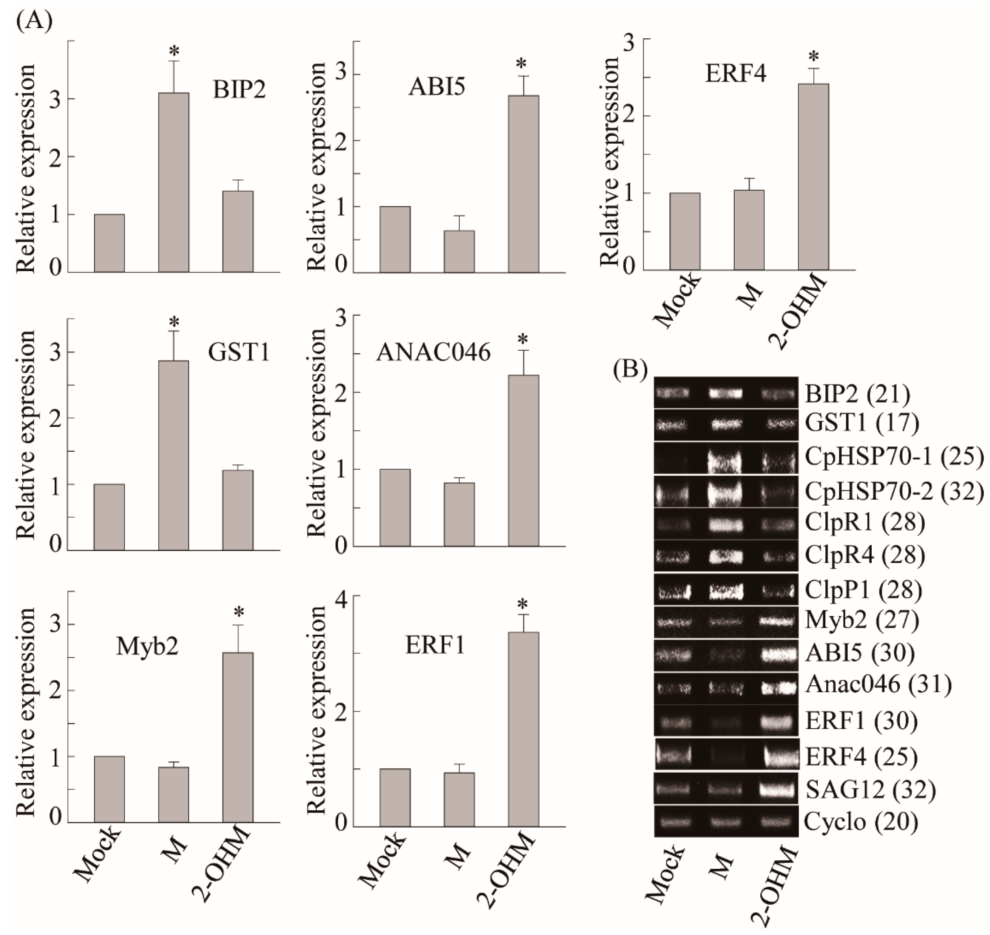 Antioxidants 10 01728 g004 Antioxidants 10 01728 g004