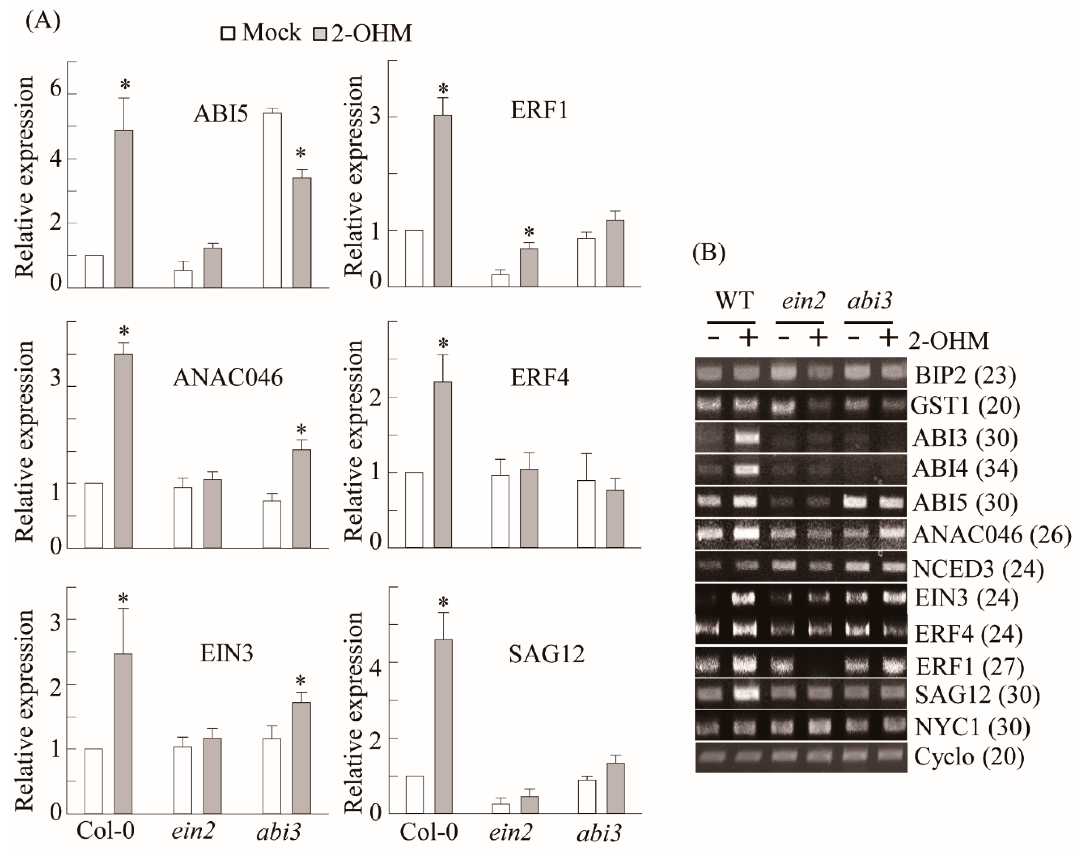 Antioxidants 10 01728 g005 Antioxidants 10 01728 g005