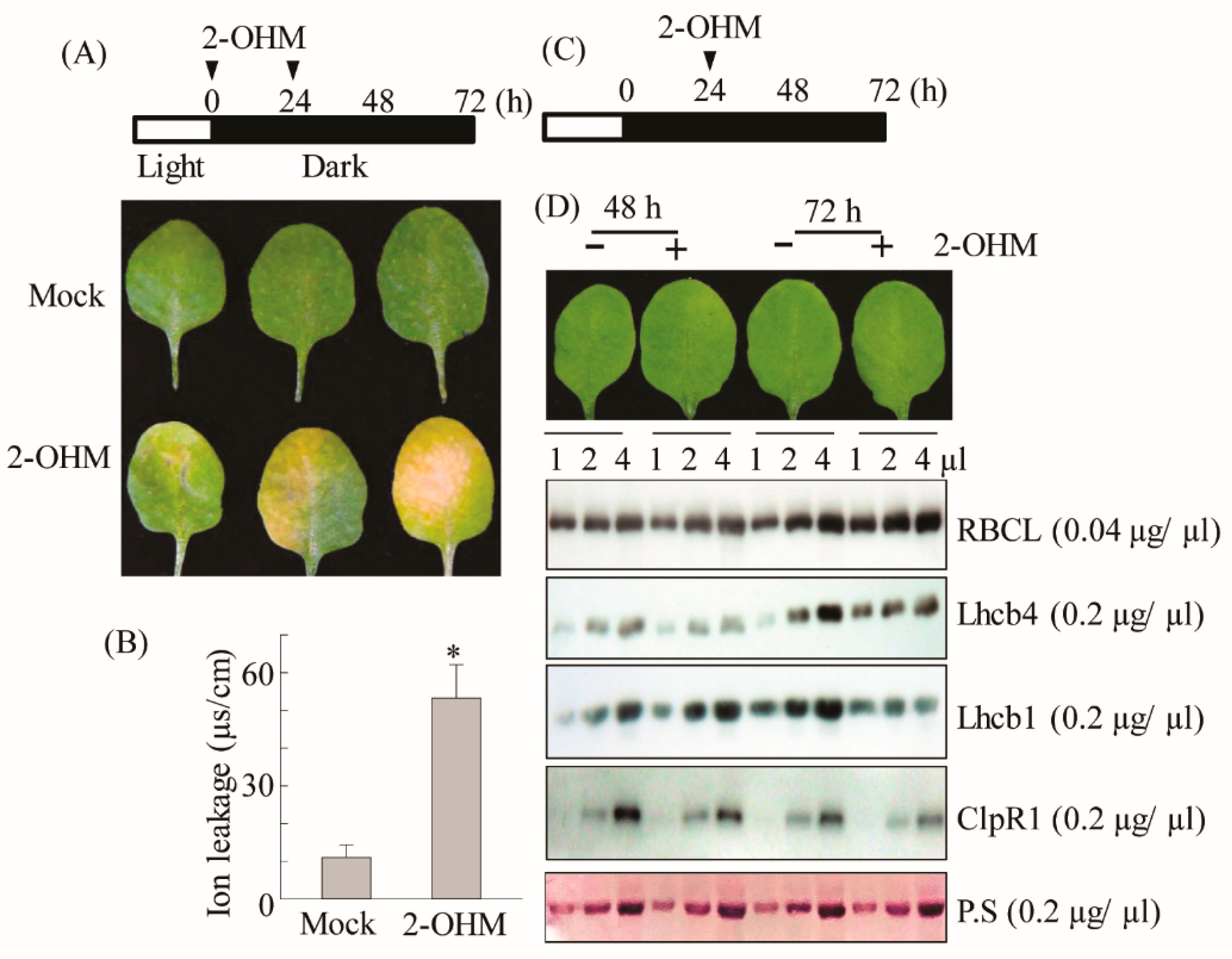 Antioxidants 10 01728 g007 Antioxidants 10 01728 g007