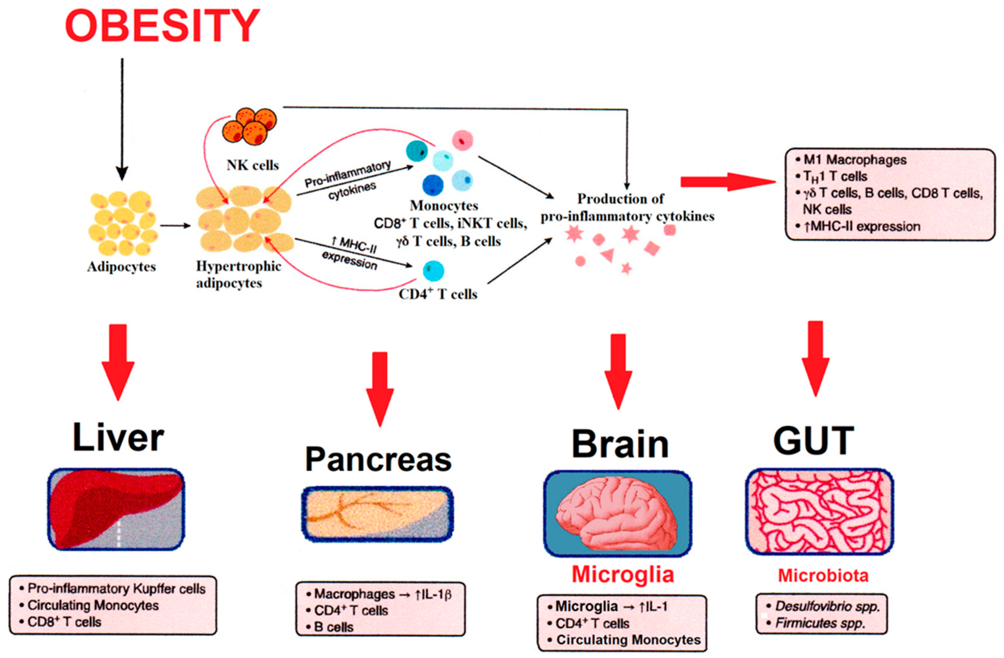 Antioxidants 10 01729 g001