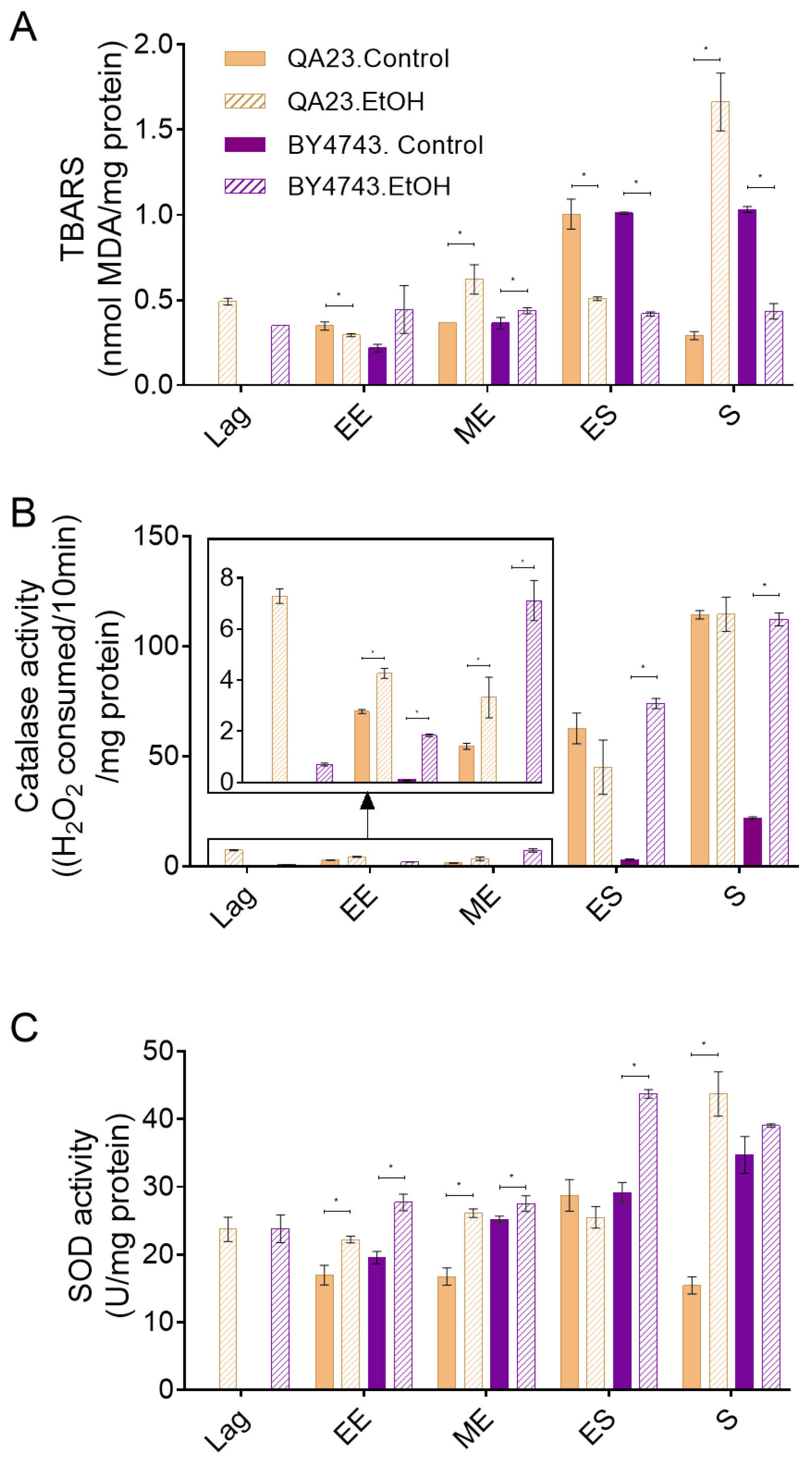Antioxidants 10 01735 g004