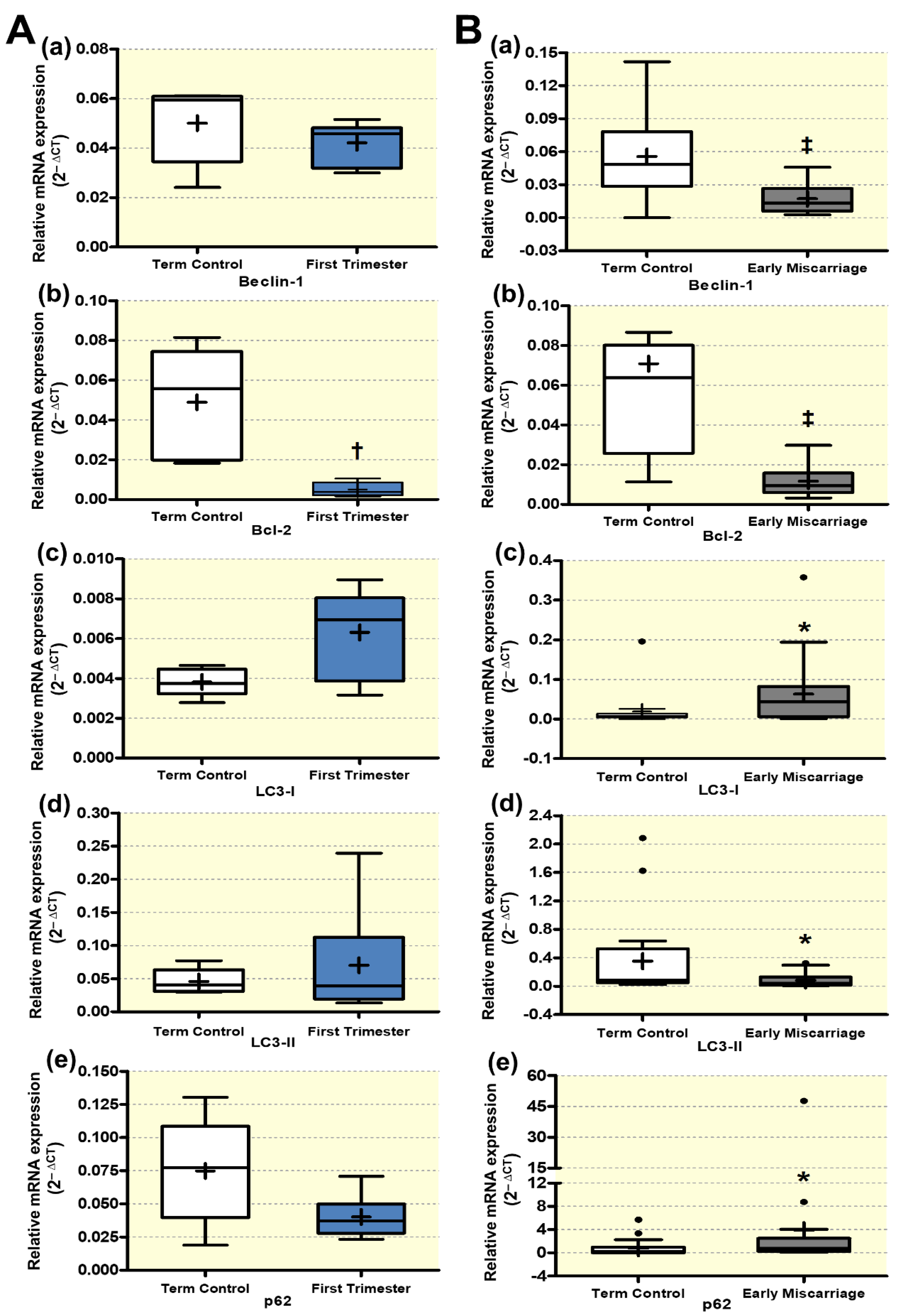 Antioxidants 10 01742 g002