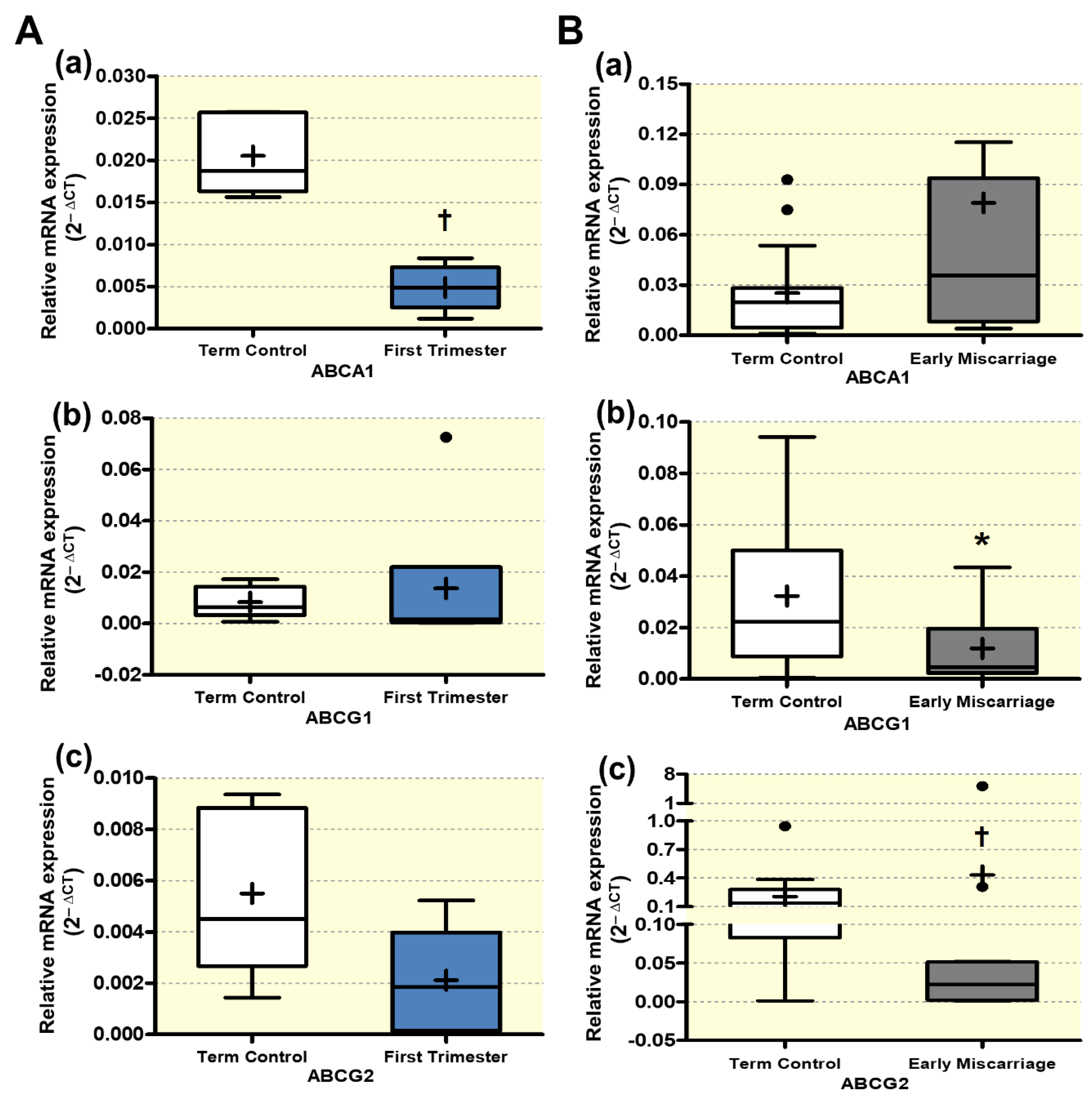 Antioxidants 10 01742 g008