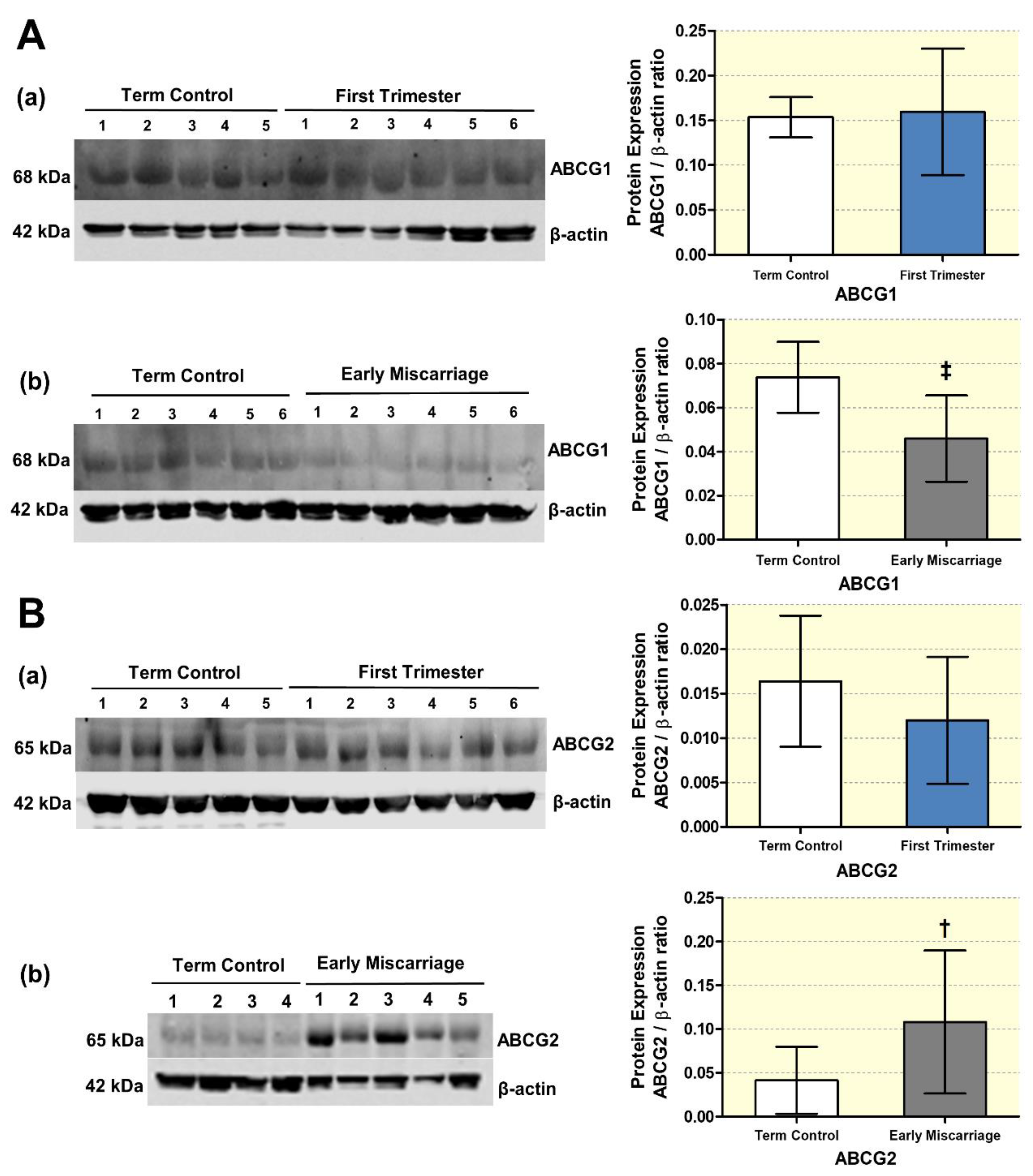 Antioxidants 10 01742 g009