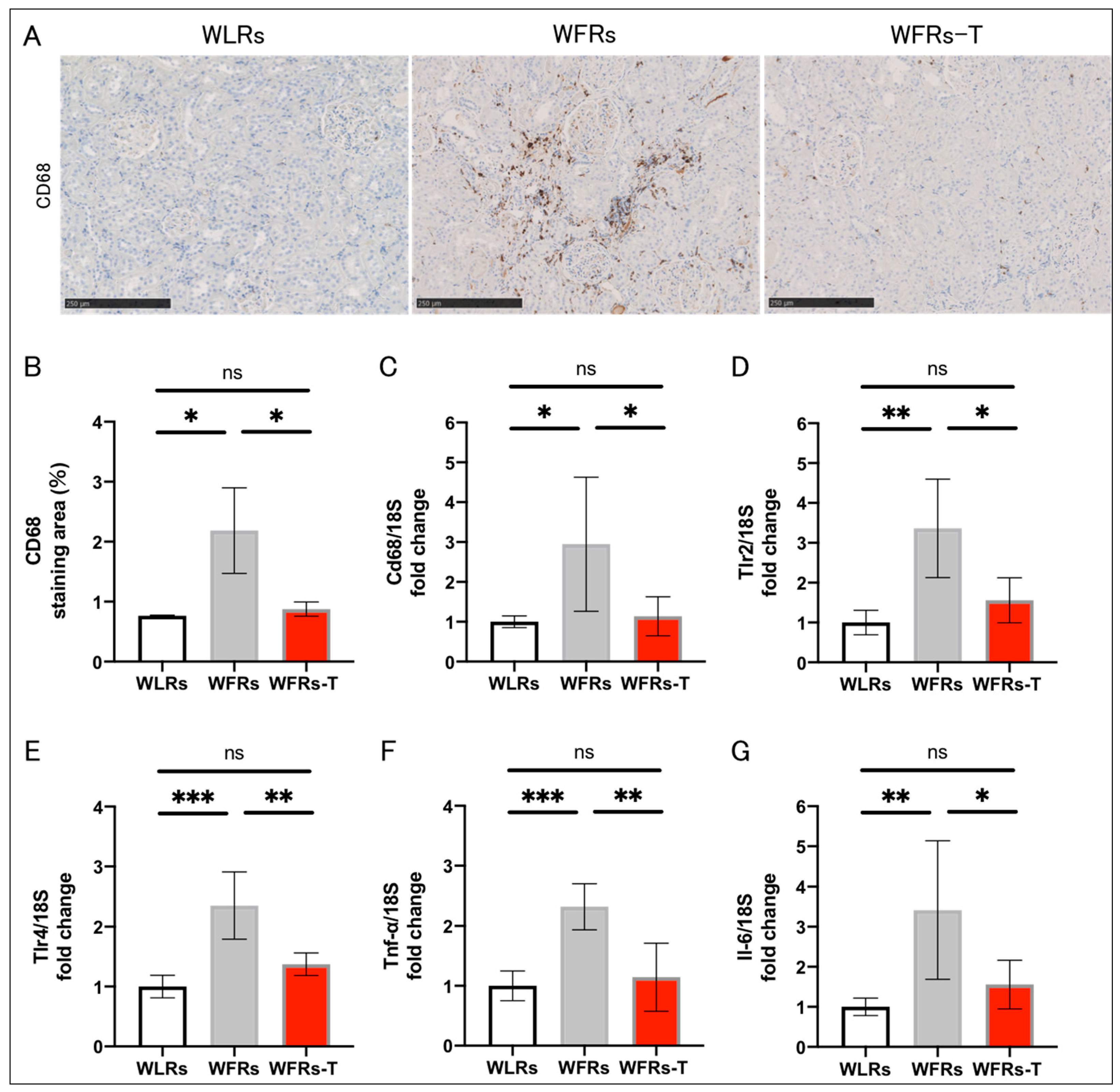 Antioxidants 10 01754 g003