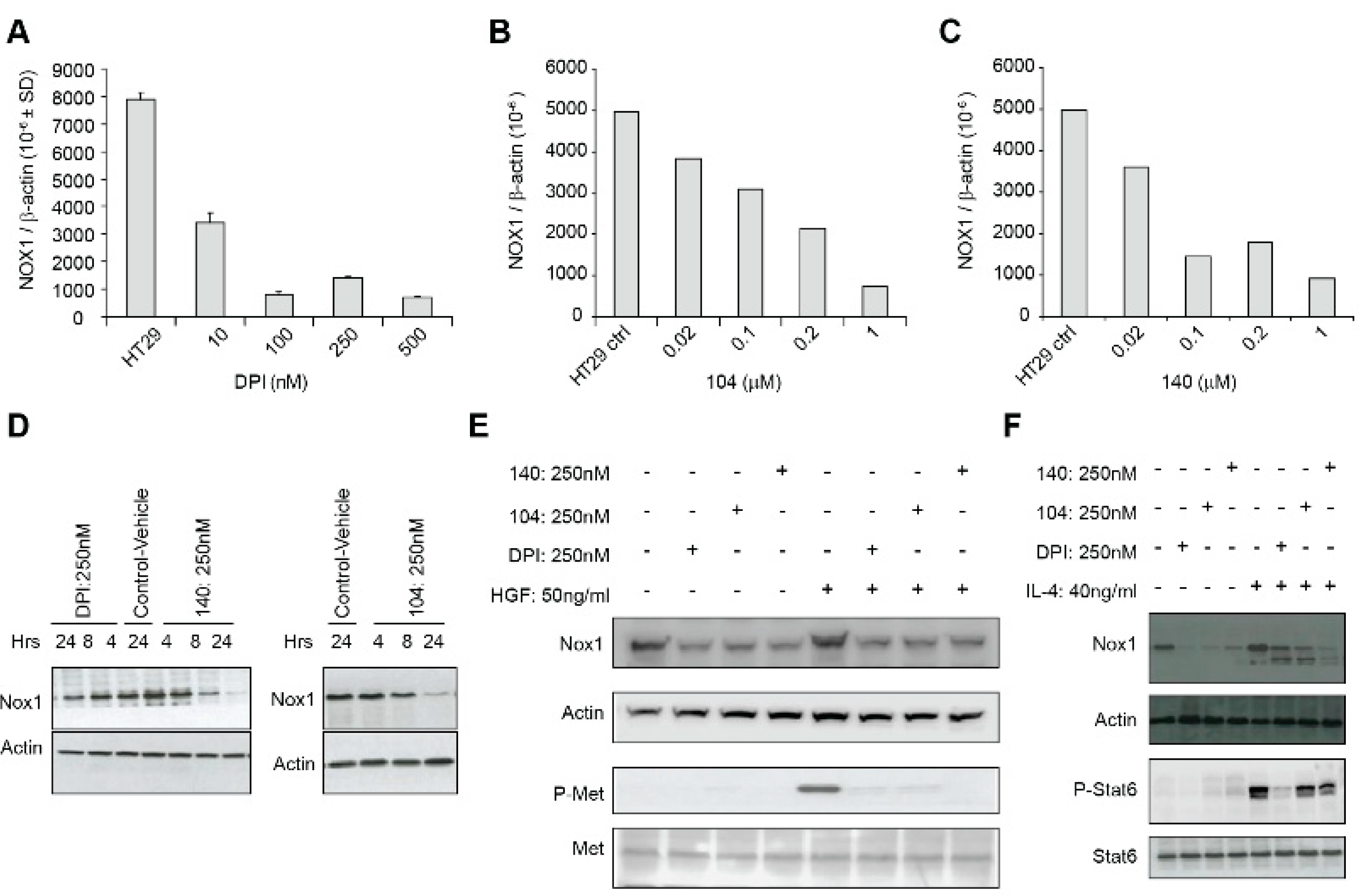 Antioxidants 10 01757 g005