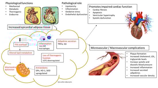 Antioxidants 10 01758 g001 550
