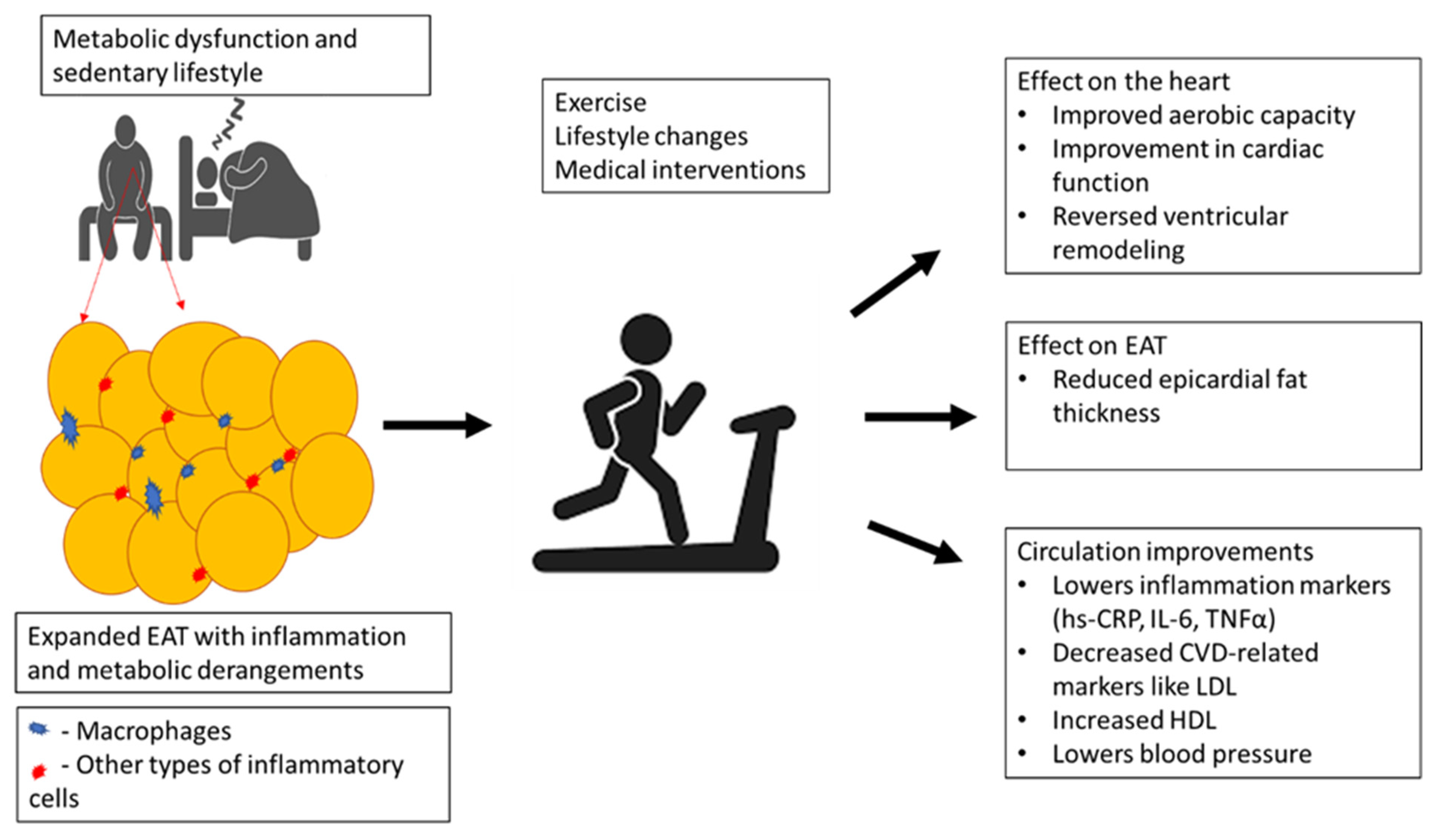 Antioxidants 10 01758 g002