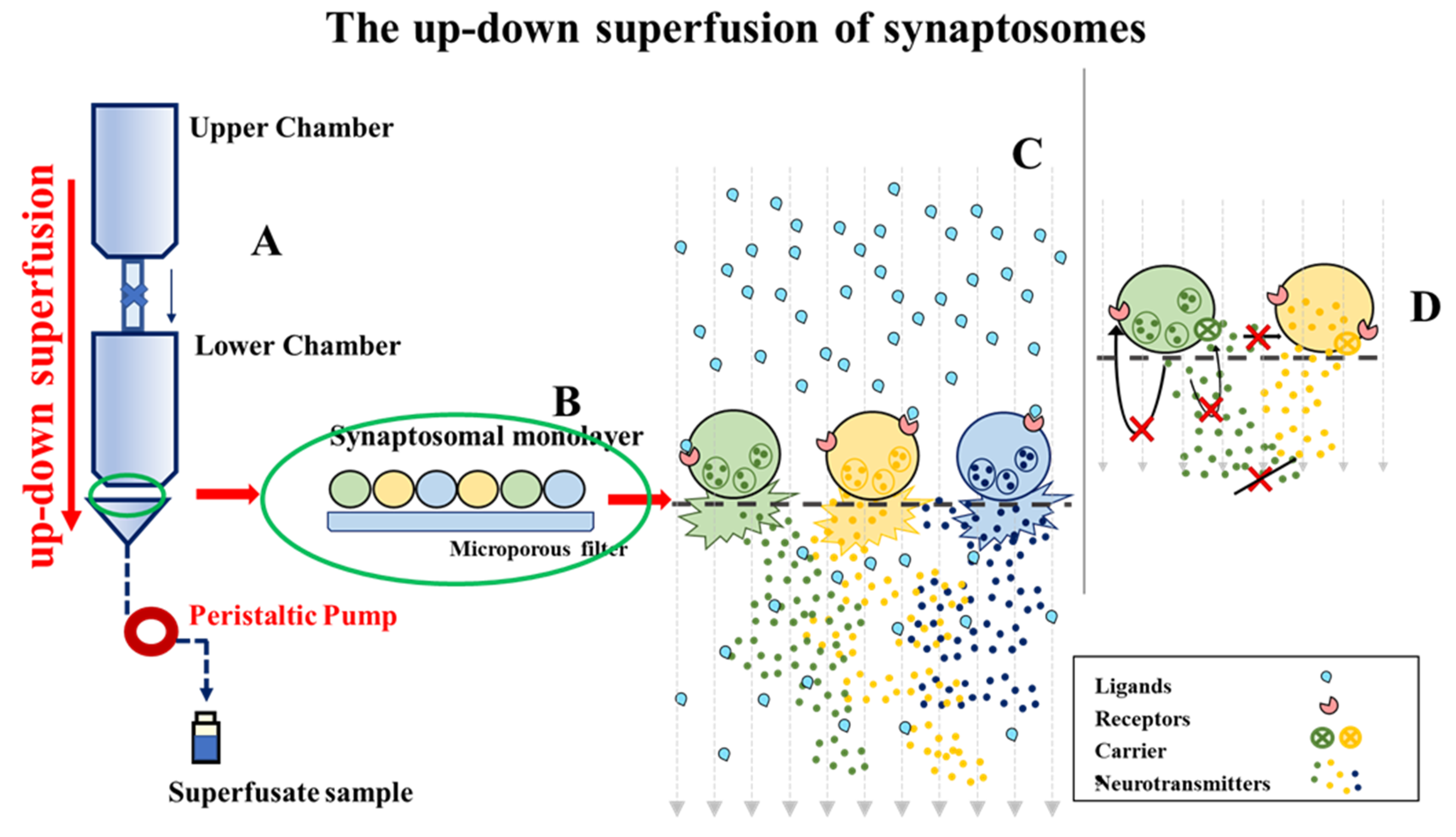 Antioxidants 10 01759 g002