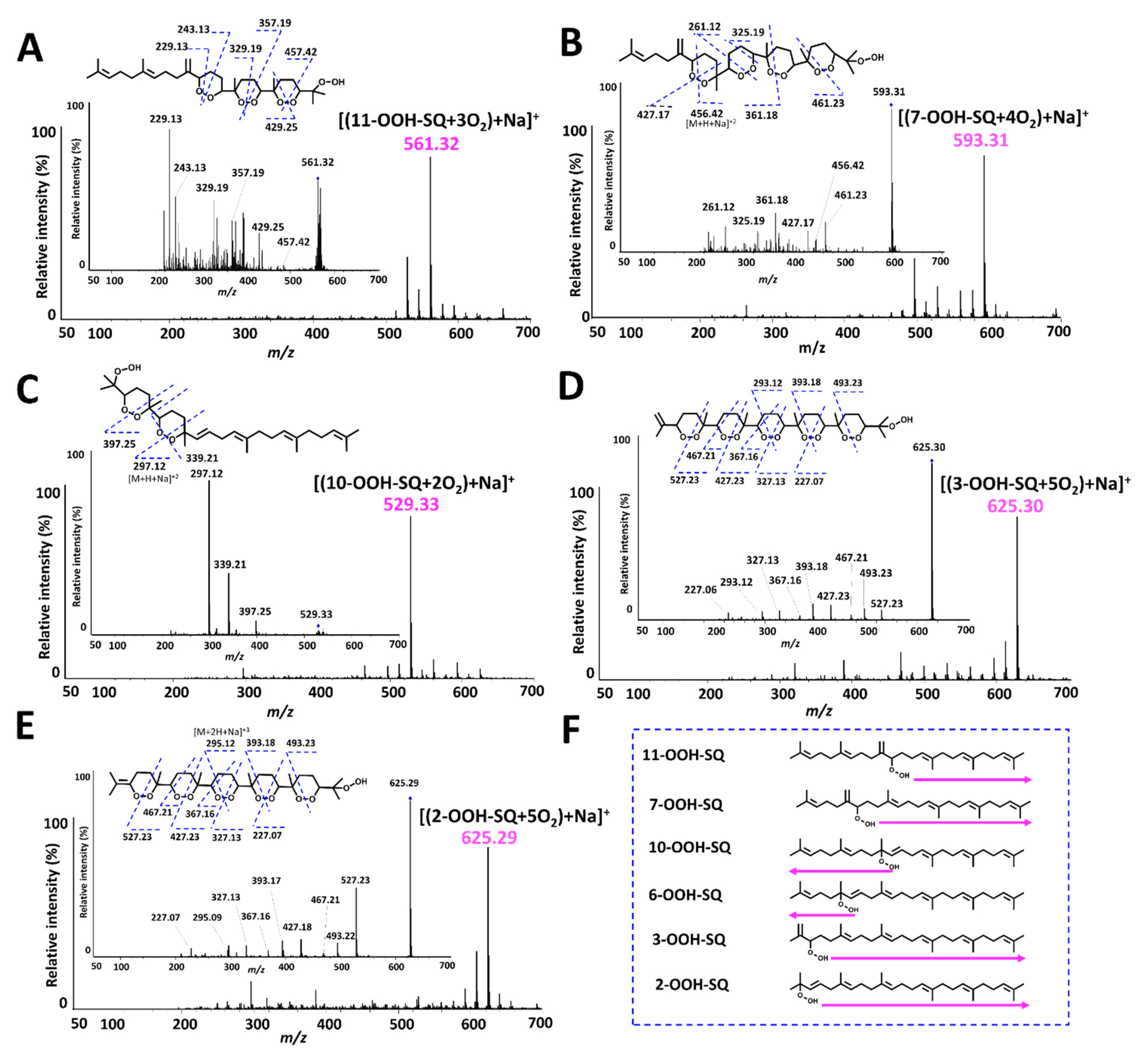 Antioxidants 10 01760 g007