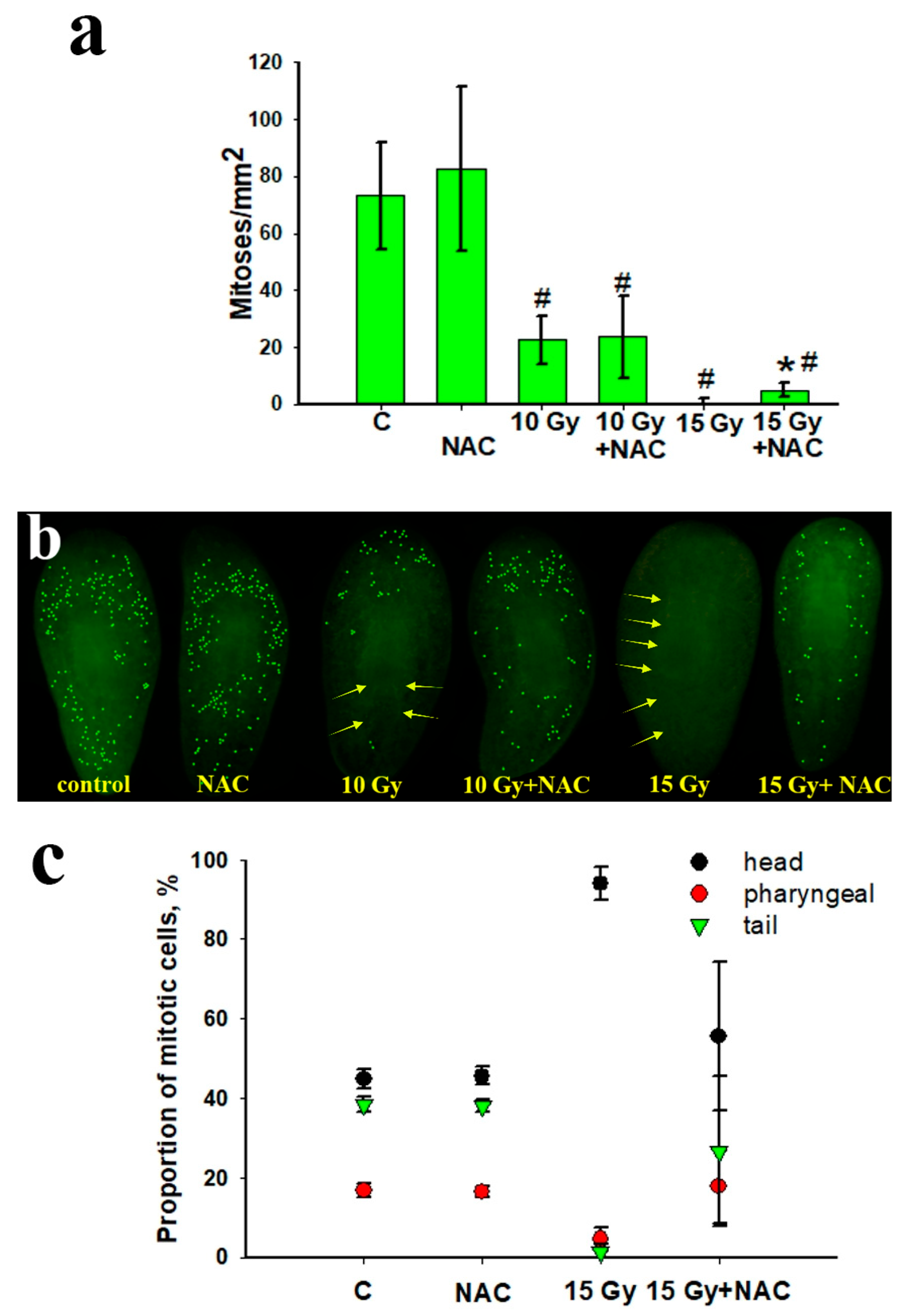 Antioxidants 10 01763 g003