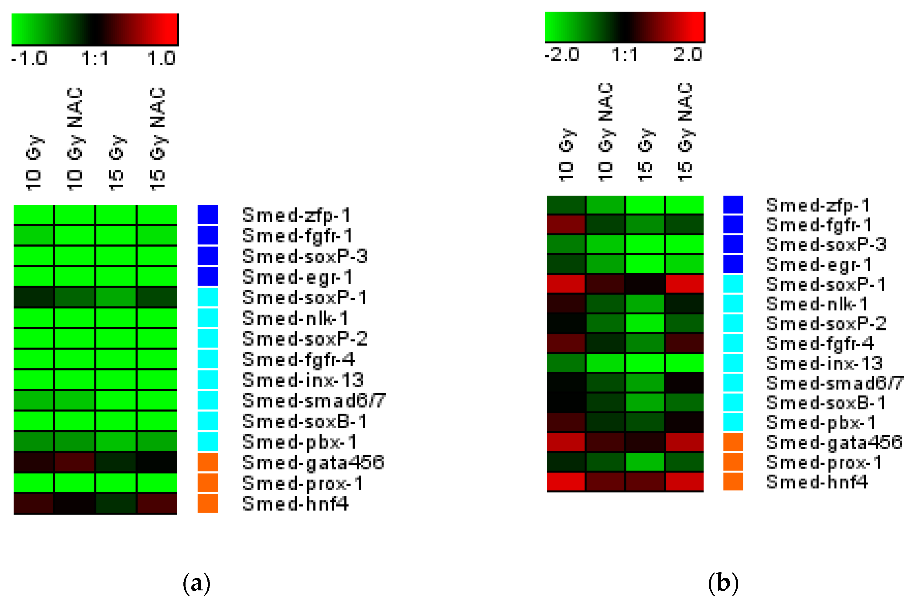 Antioxidants 10 01763 g004