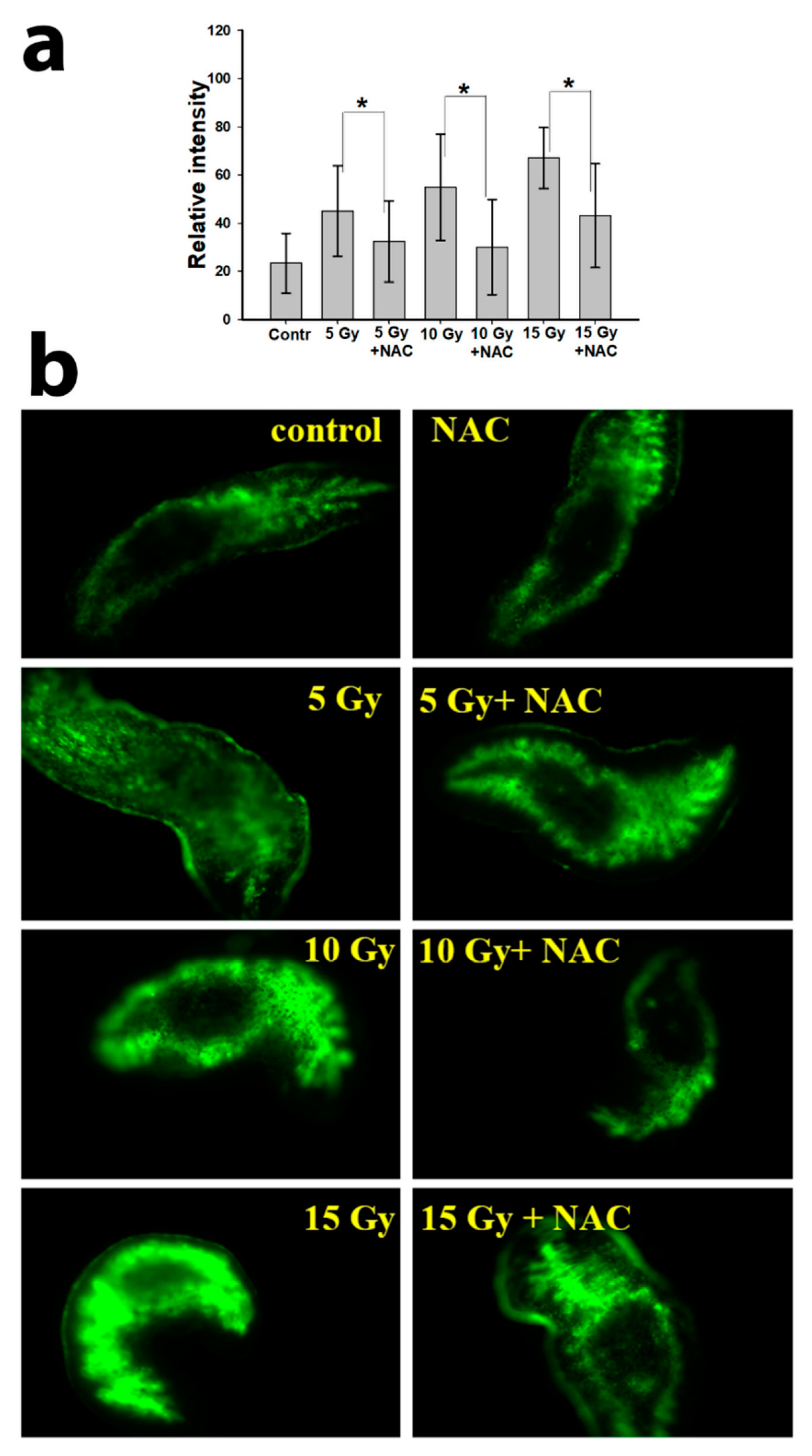 Antioxidants 10 01763 g006