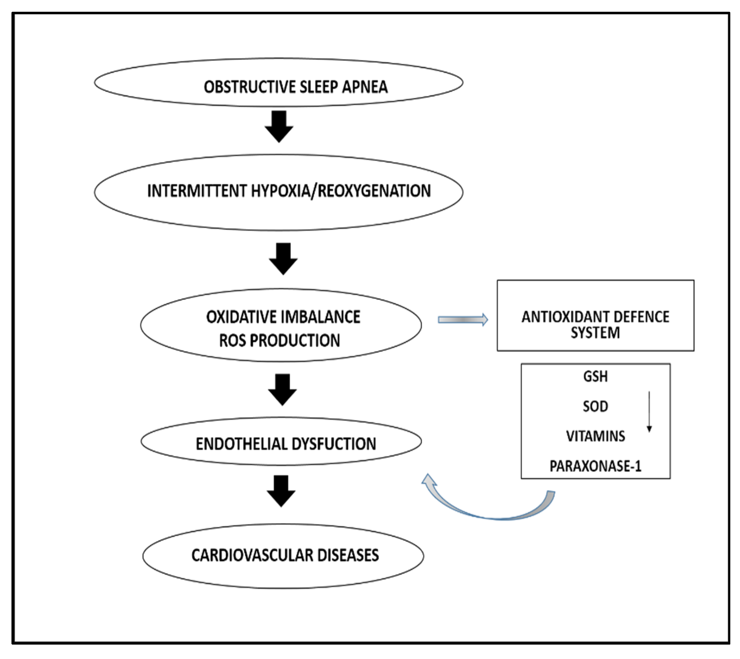 Antioxidants 10 01764 g001