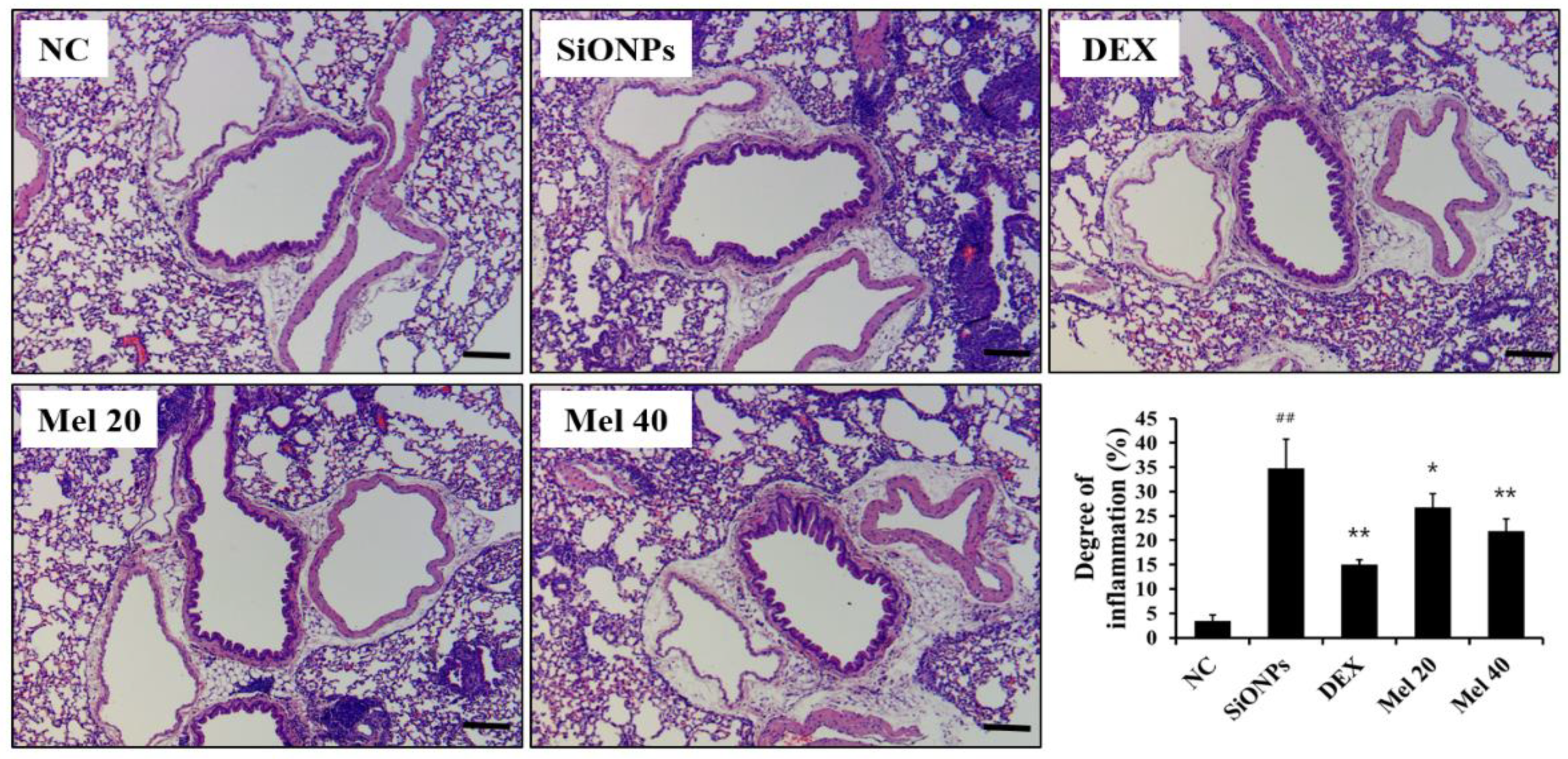 Antioxidants 10 01765 g003