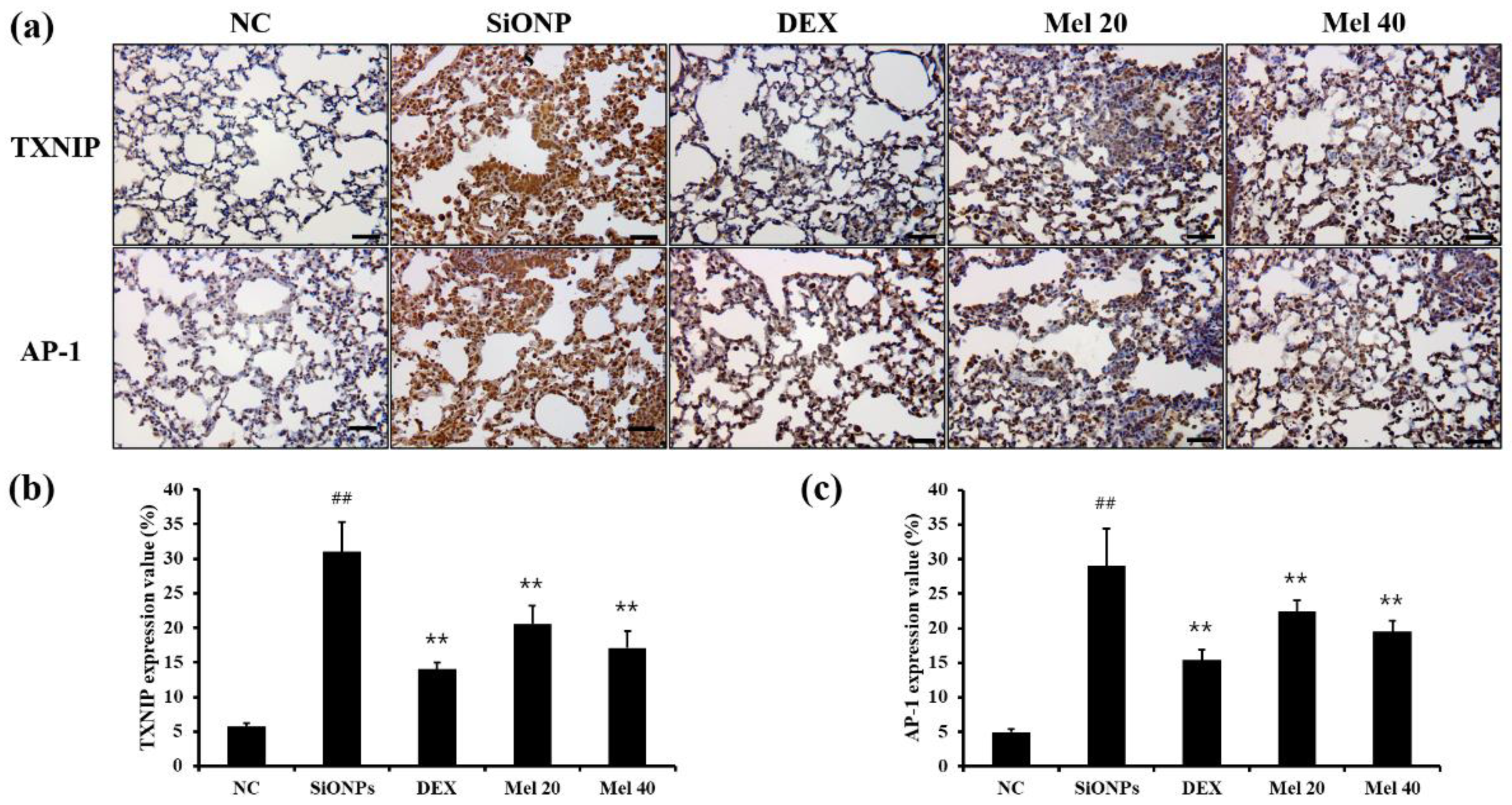 Antioxidants 10 01765 g005