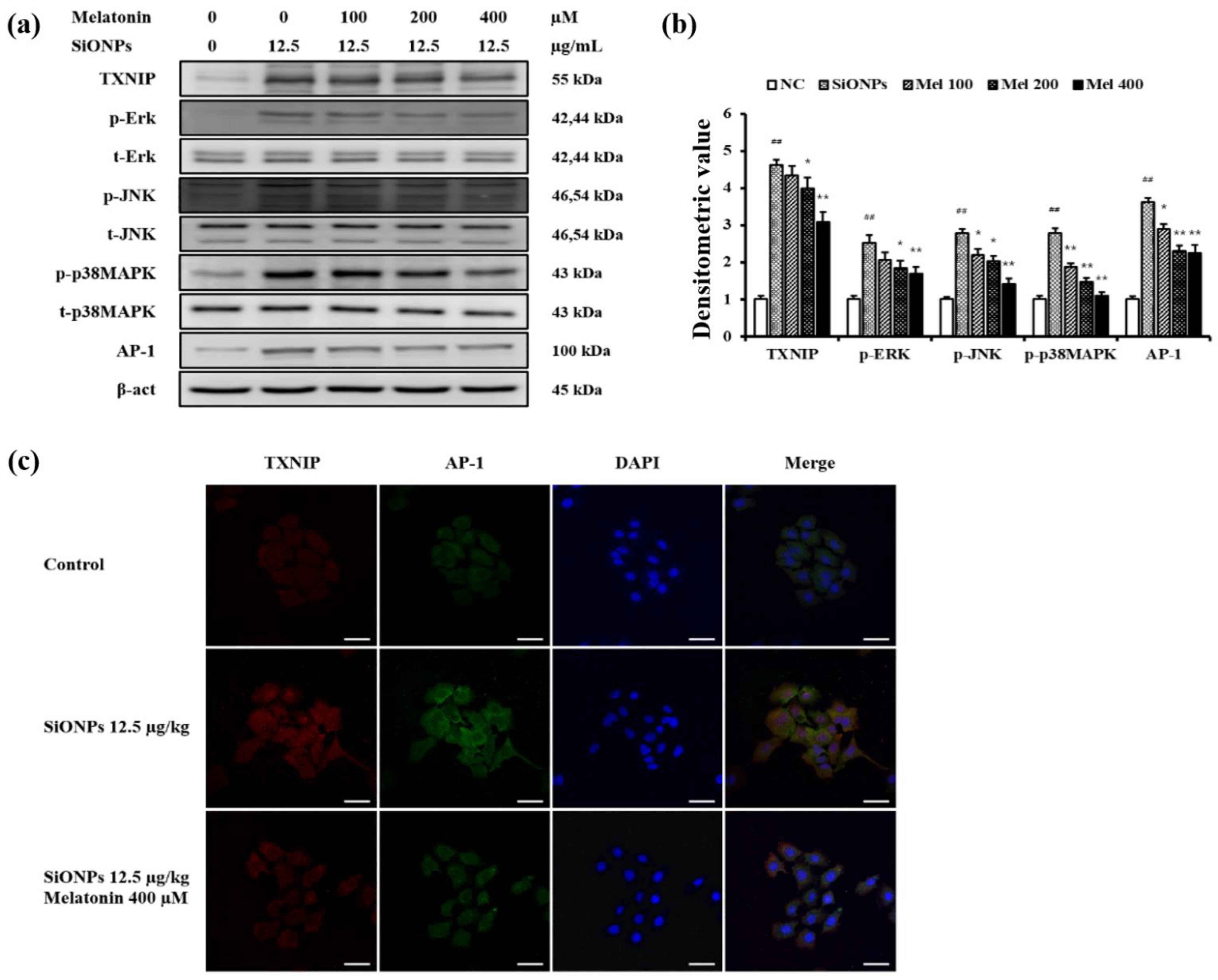 Antioxidants 10 01765 g007
